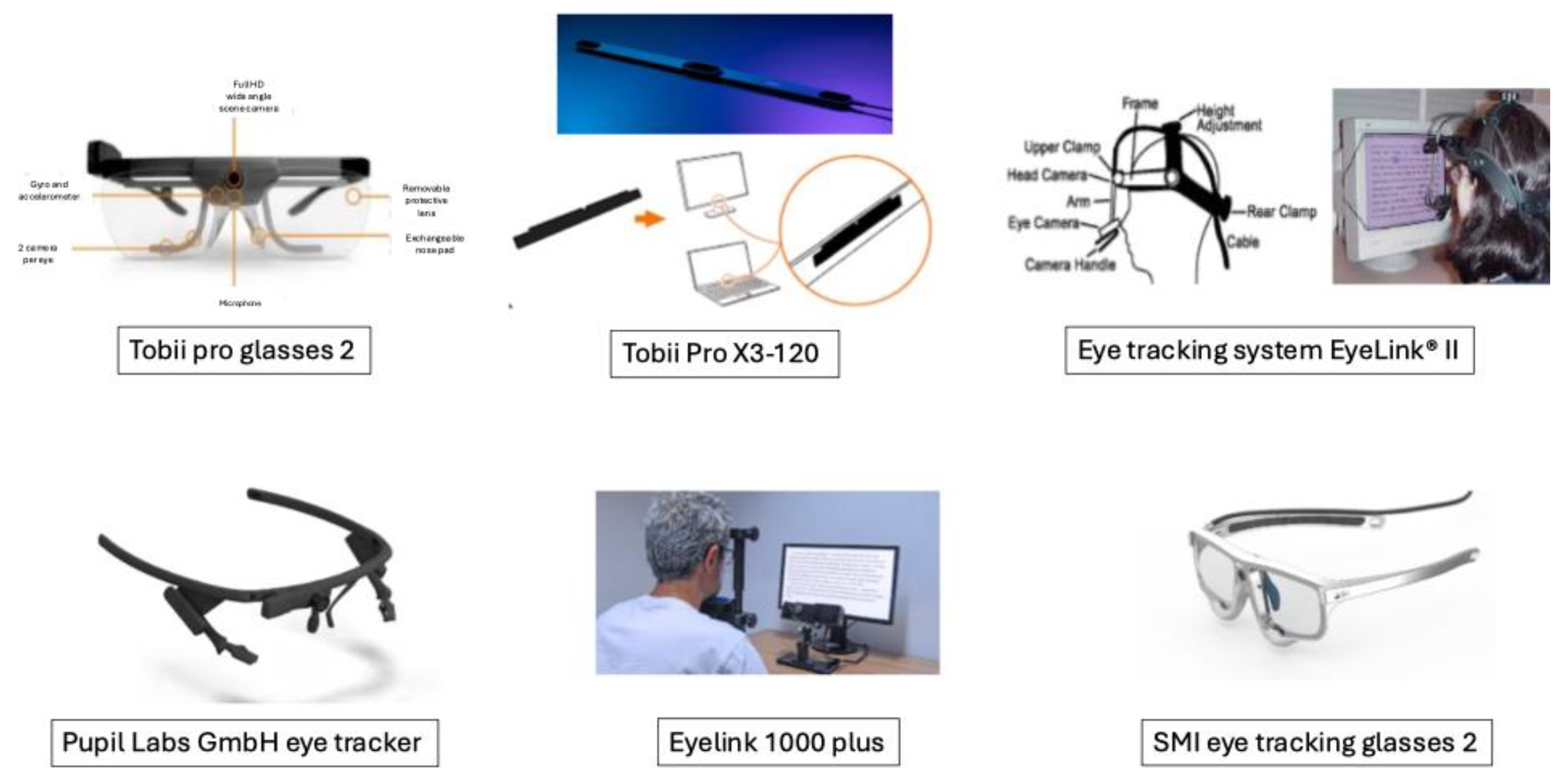 Brainsci 15 00421 g001 Brainsci 15 00421 g001