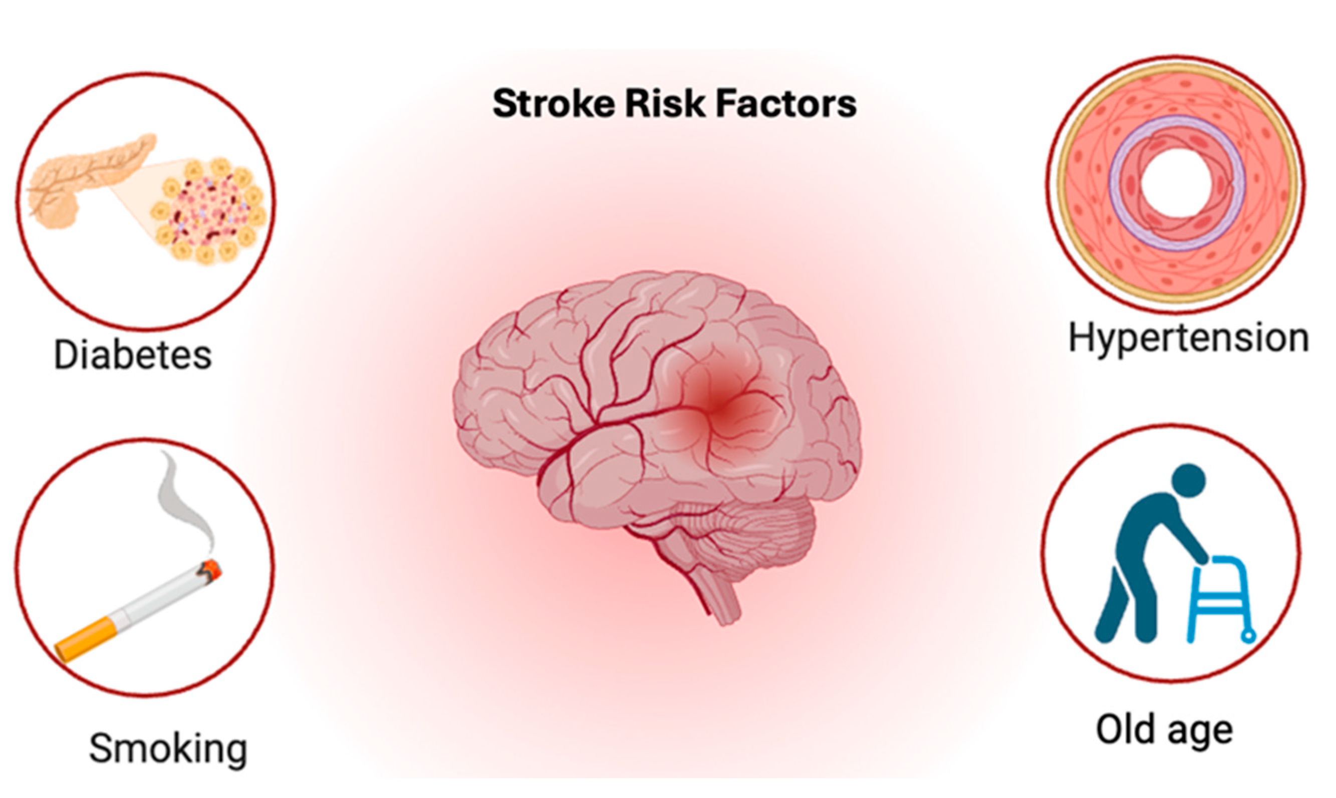 Brainsci 15 00436 g004 Brainsci 15 00436 g004