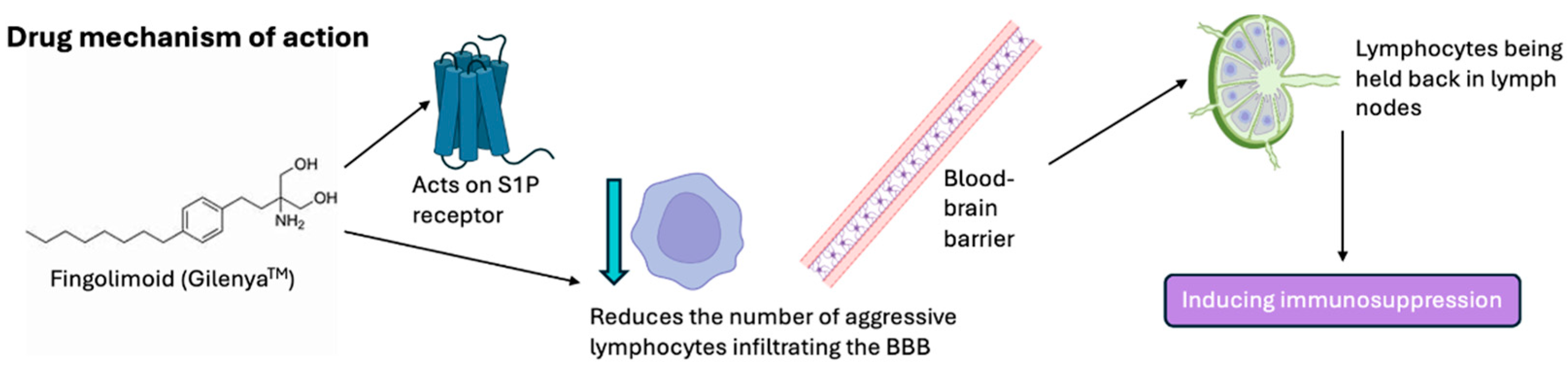 Brainsci 15 00436 g006 Brainsci 15 00436 g006