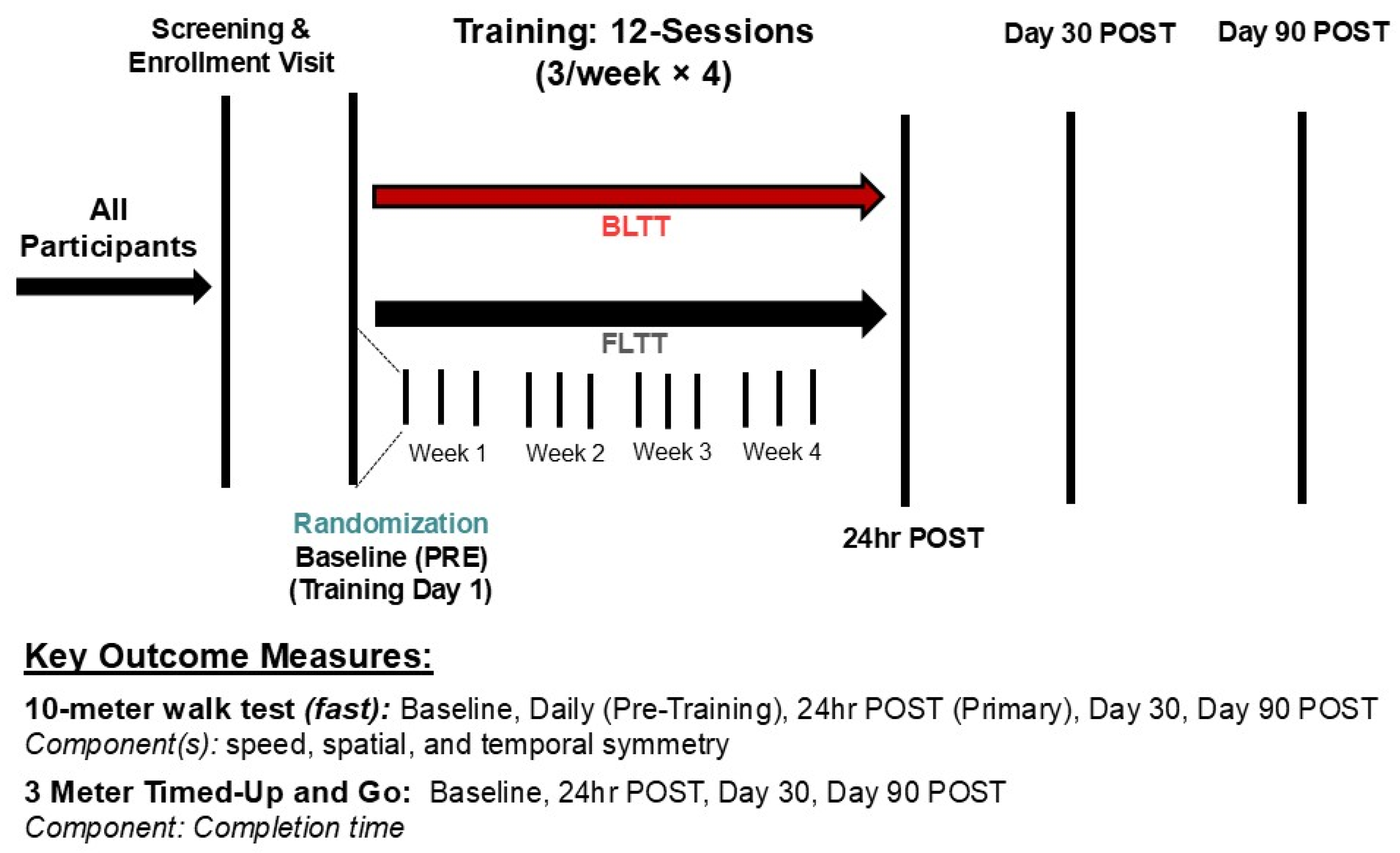 Brainsci 15 00437 g001