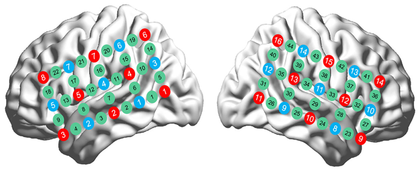 Brainsci 15 00451 g003 Brainsci 15 00451 g003