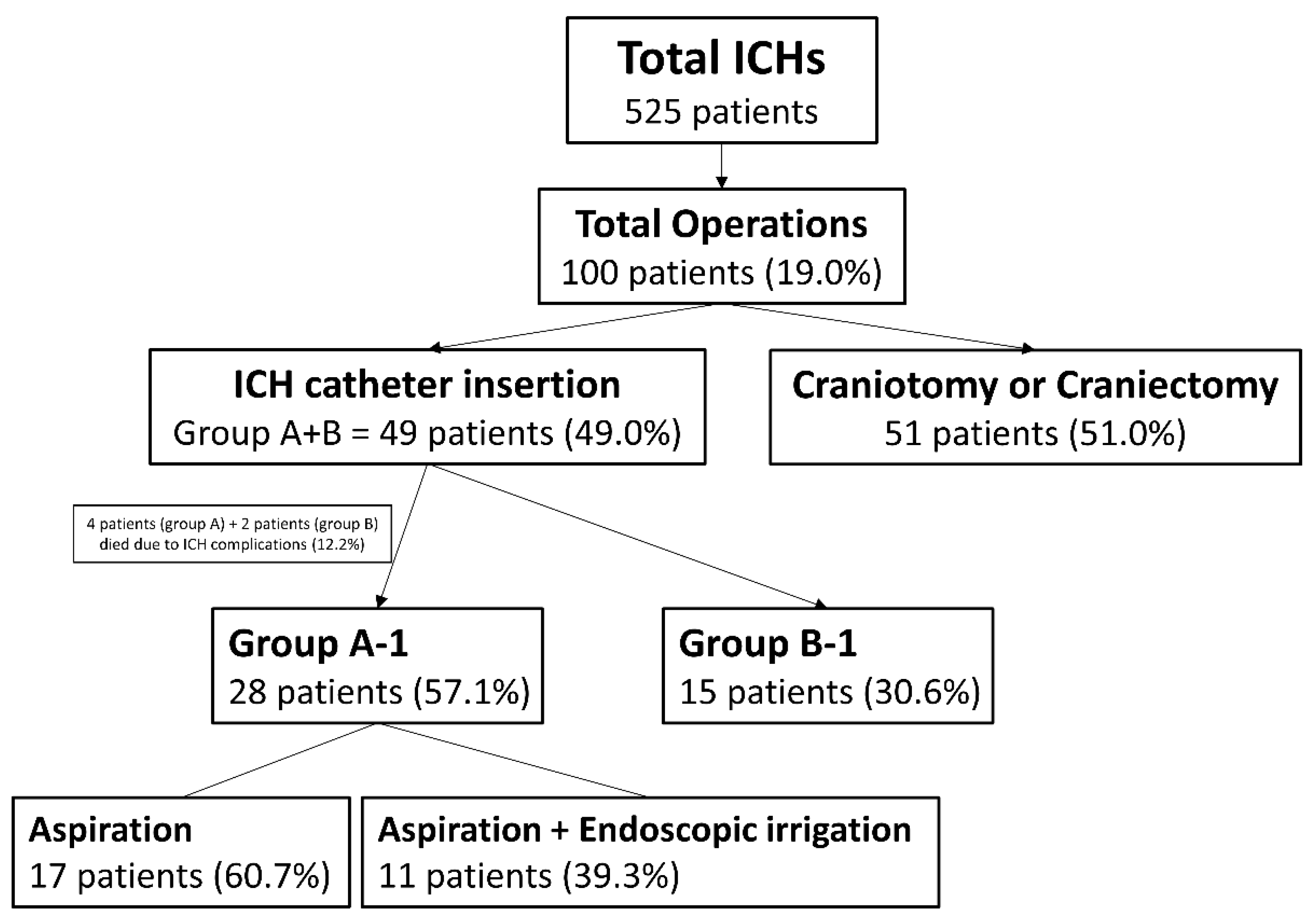 Brainsci 15 00455 g001