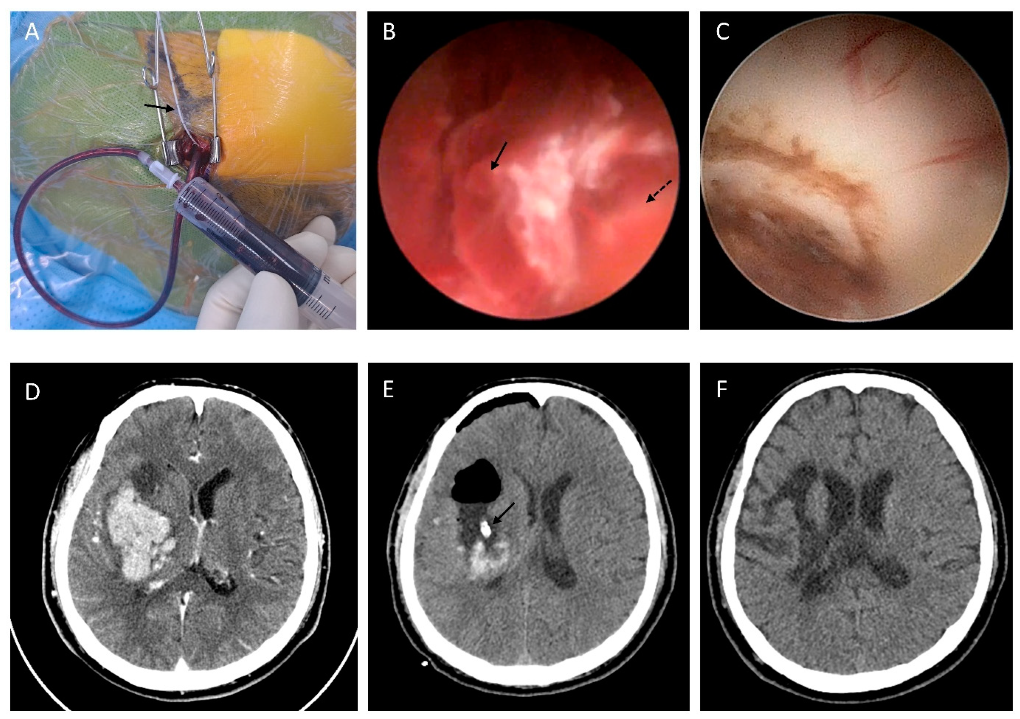 Brainsci 15 00455 g002