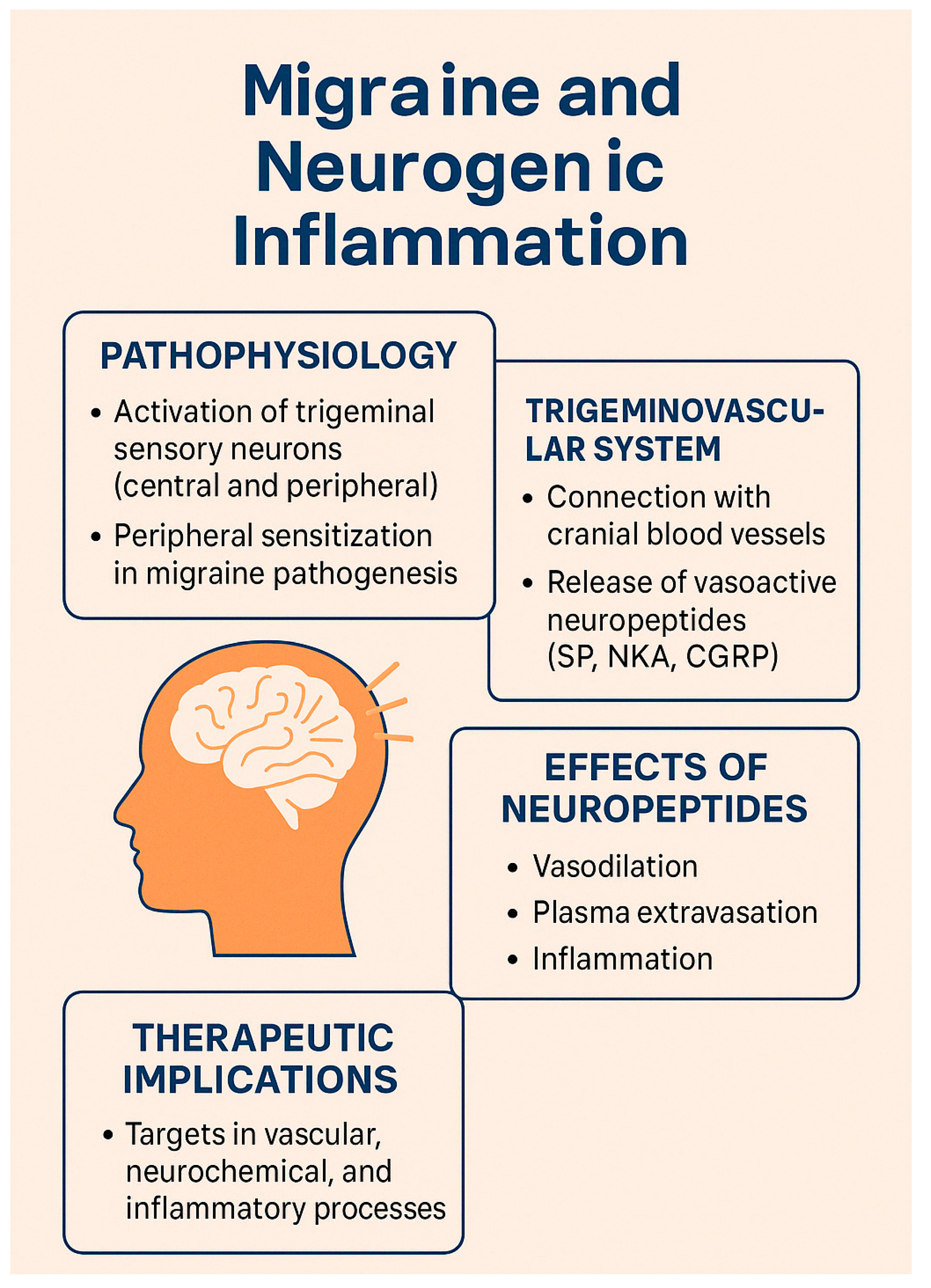 Brainsci 15 00474 g002