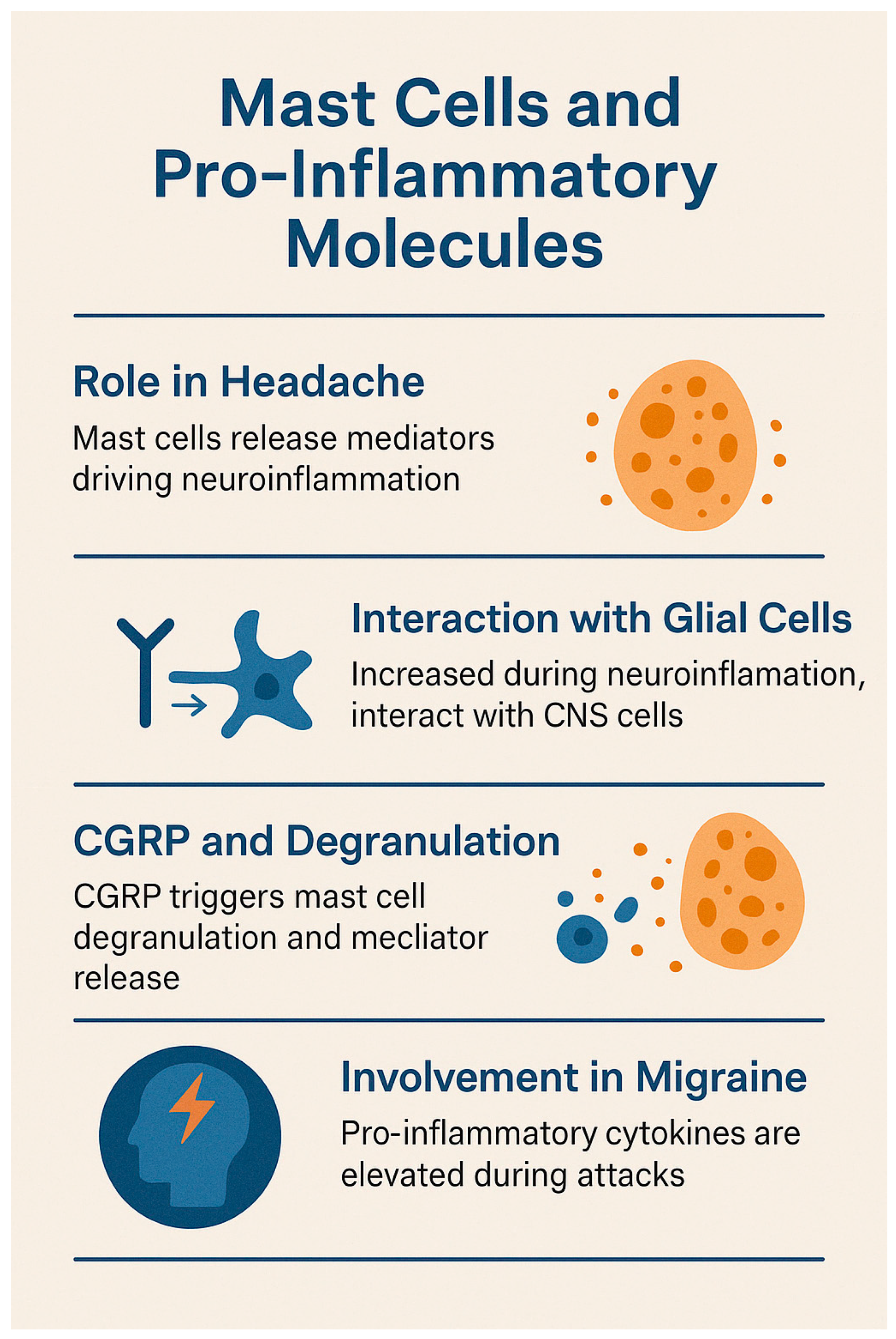 Brainsci 15 00474 g003