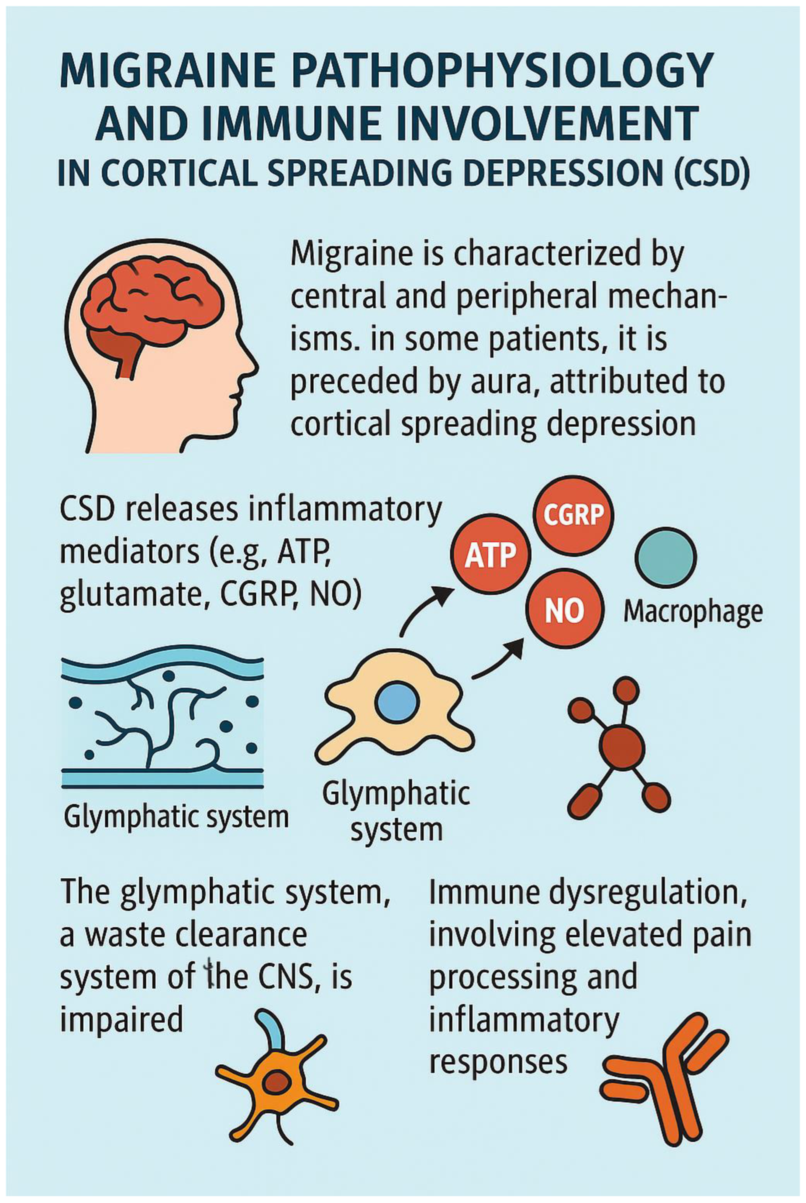 Brainsci 15 00474 g004