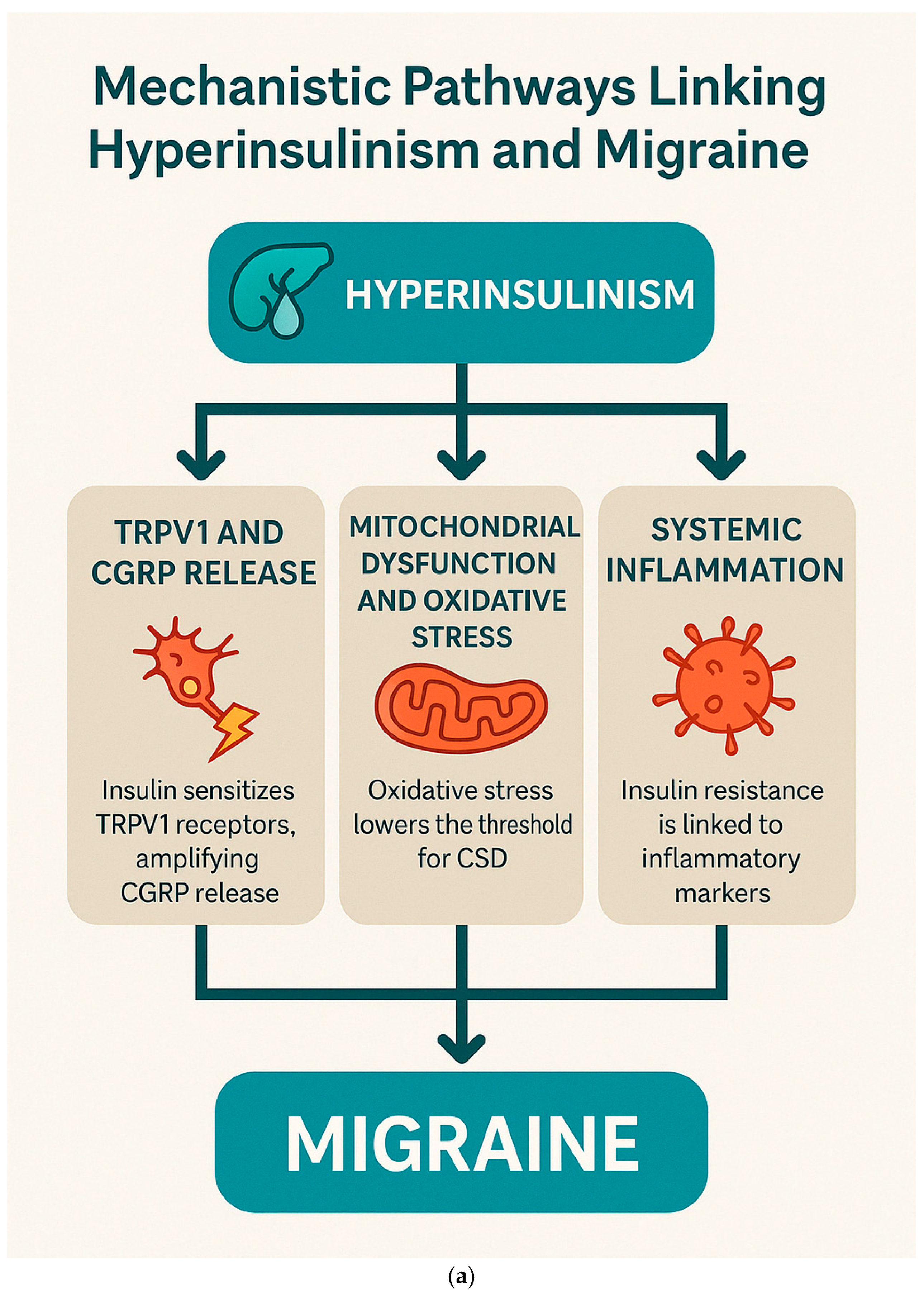 Brainsci 15 00474 g006a