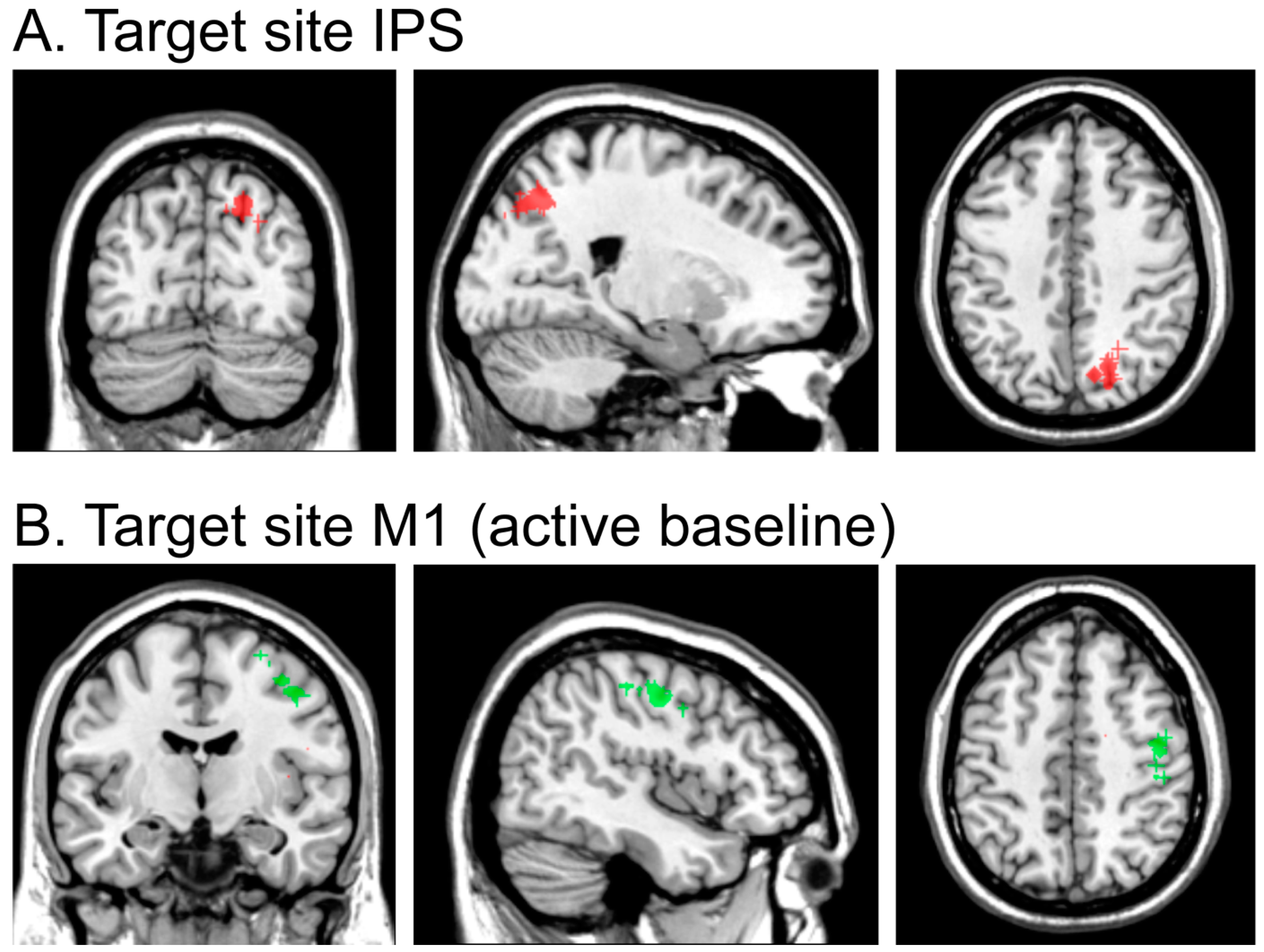 Brainsci 15 00483 g002