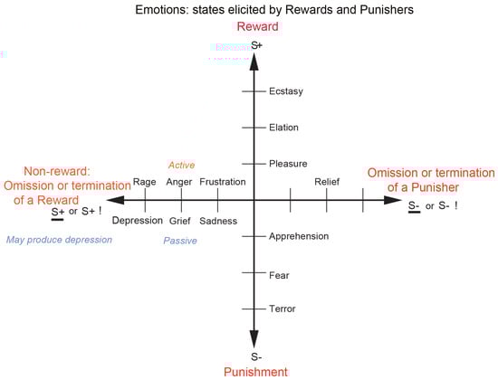 Brainsci 15 00507 g001
