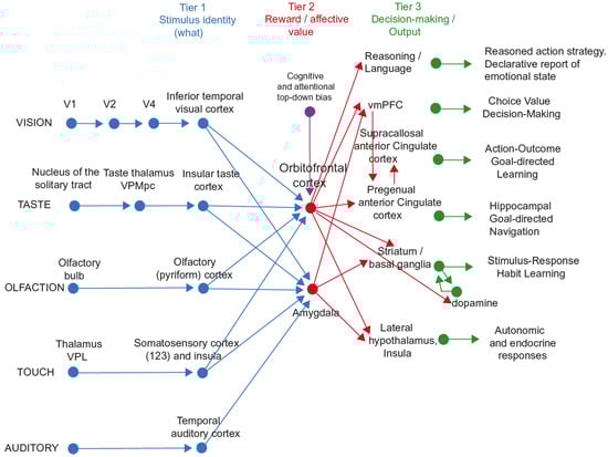 Brainsci 15 00507 g003