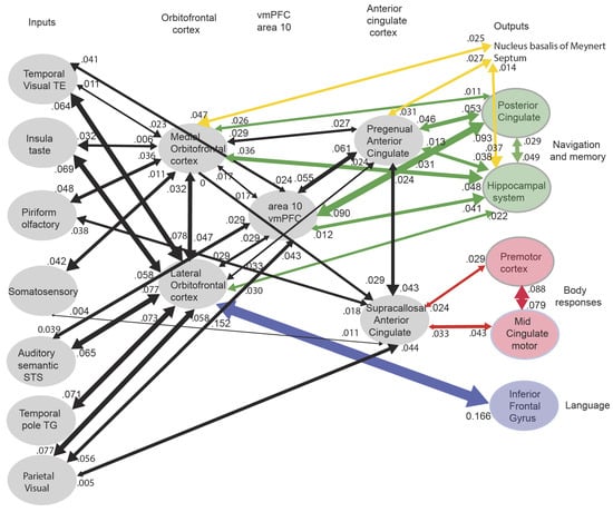 Brainsci 15 00507 g004