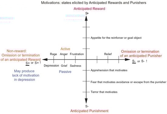 Brainsci 15 00507 g005