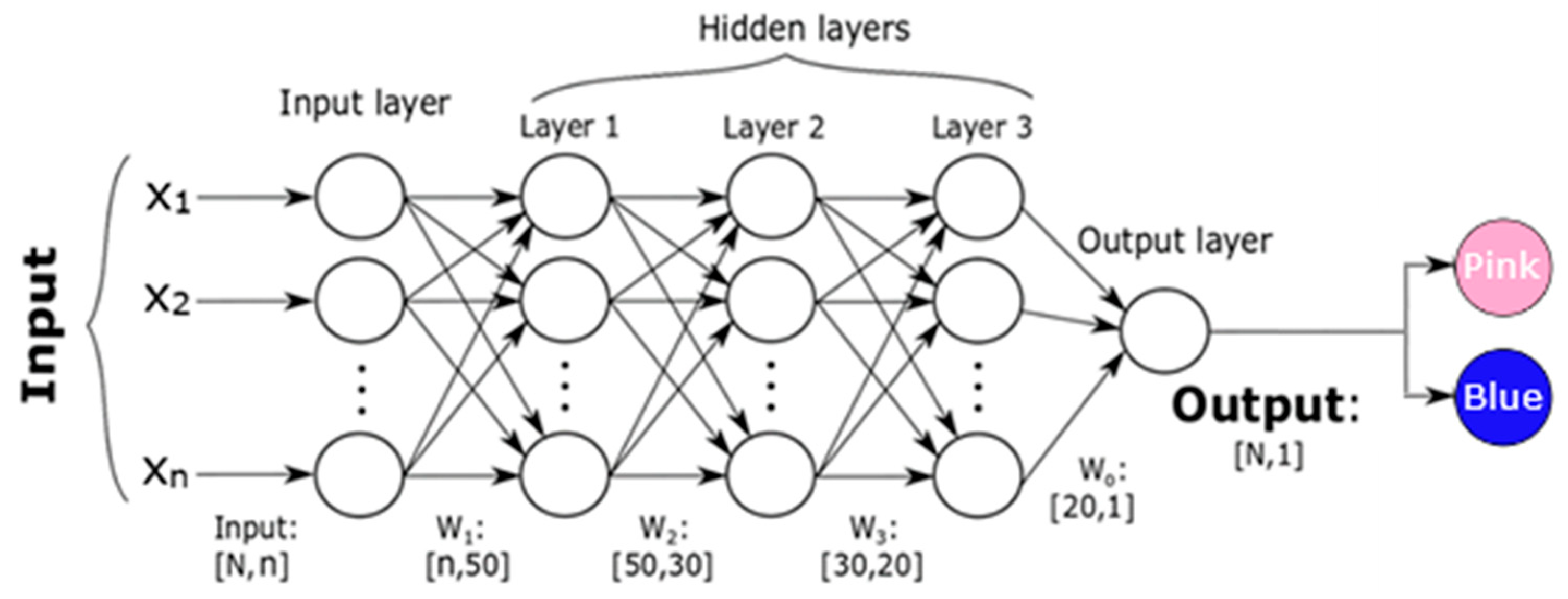 Brainsci 15 00520 g005