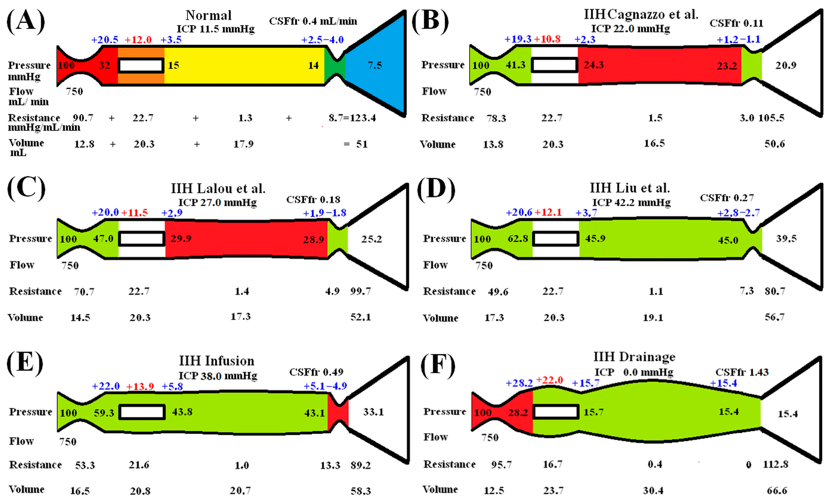 Brainsci 15 00527 g001