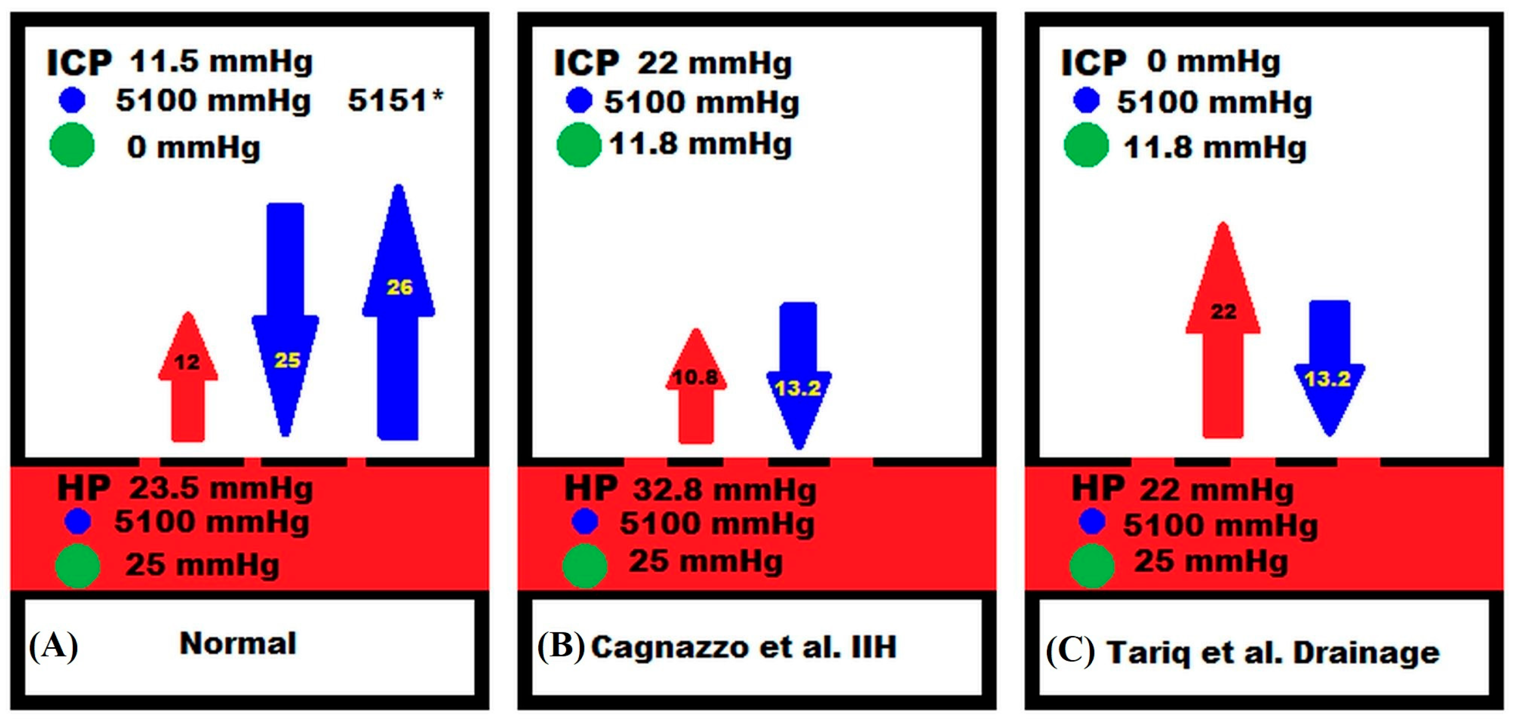 Brainsci 15 00527 g002