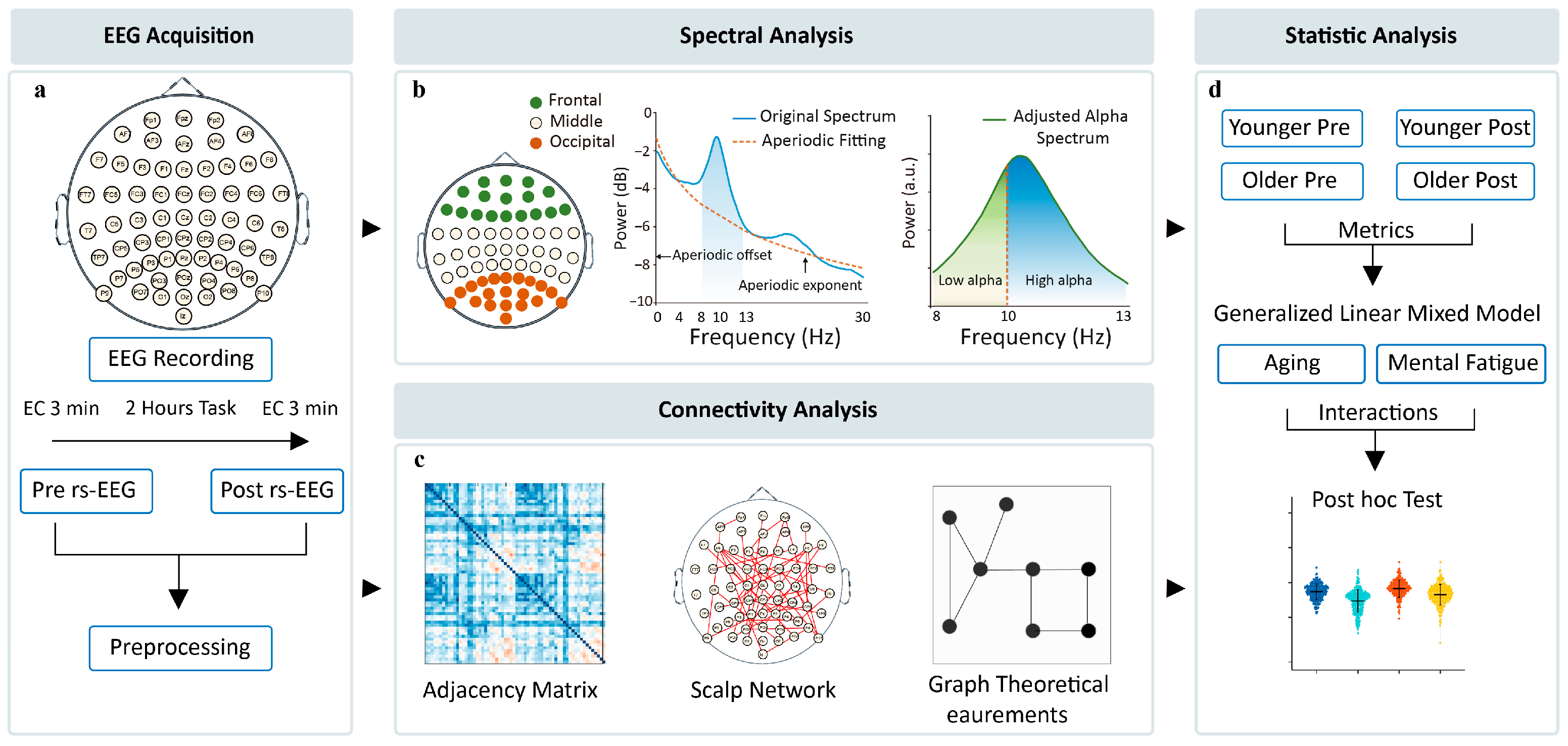 Brainsci 15 00546 g001