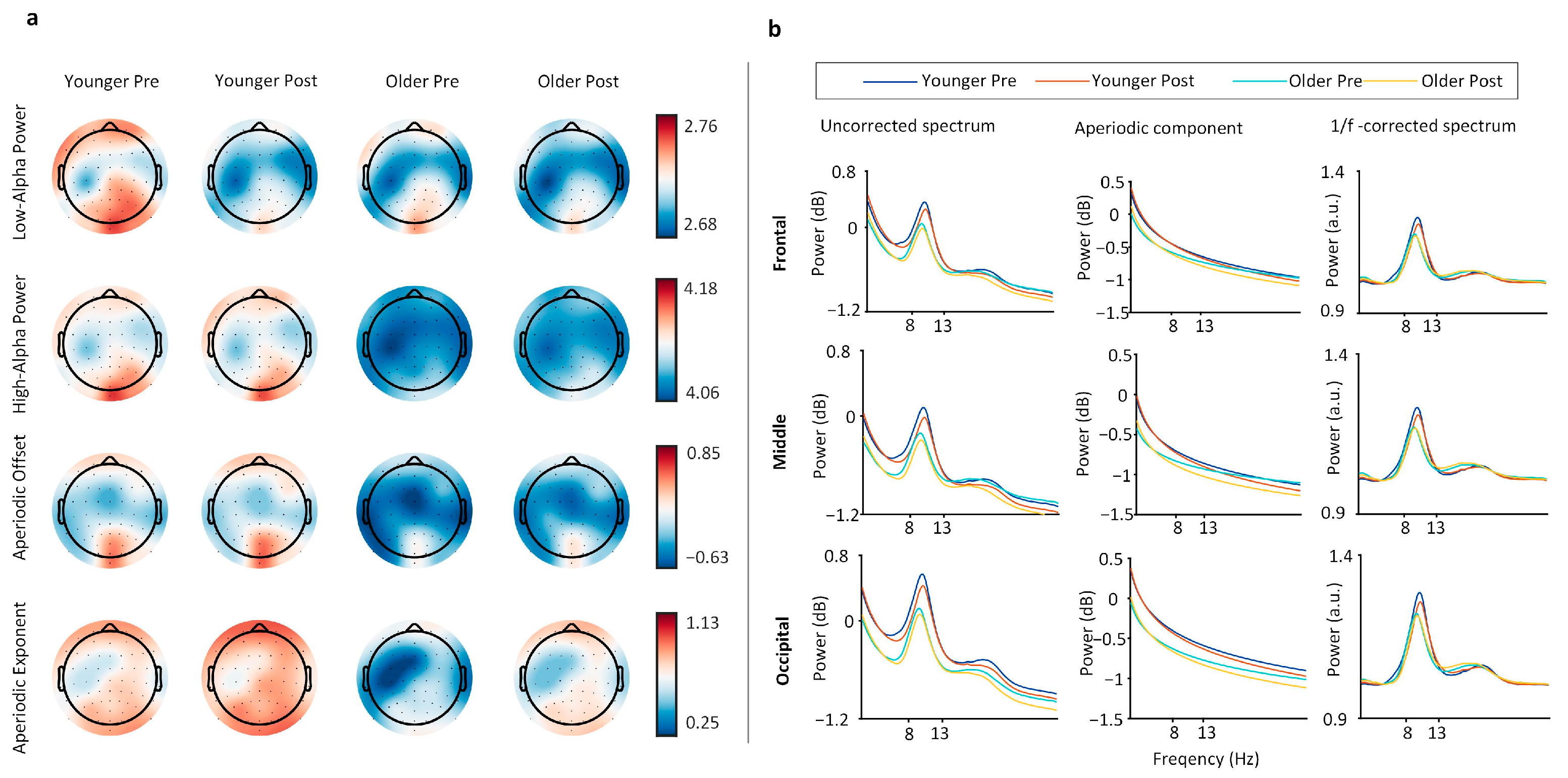 Brainsci 15 00546 g002