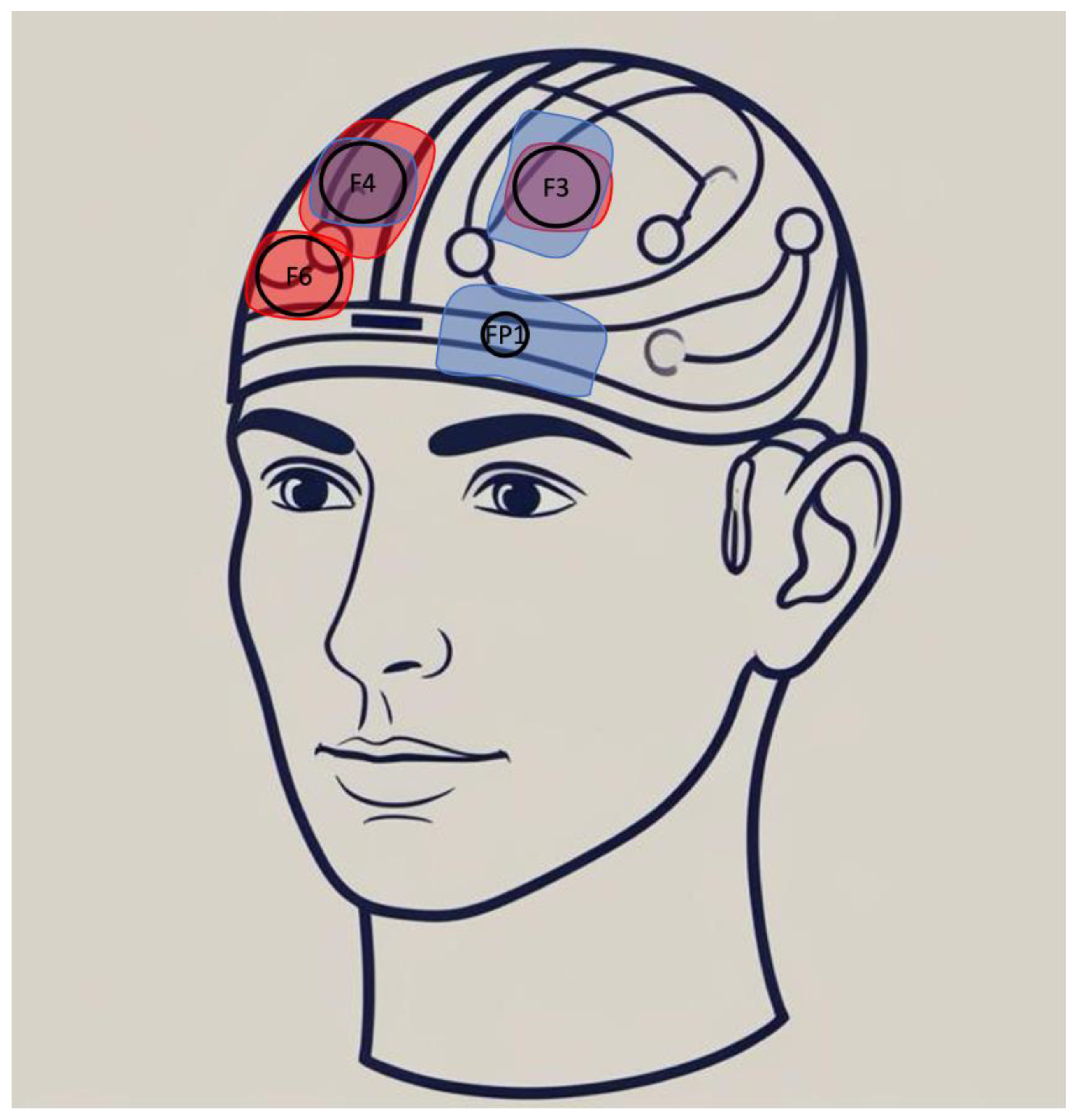 Brainsci 15 00547 g001 Brainsci 15 00547 g001