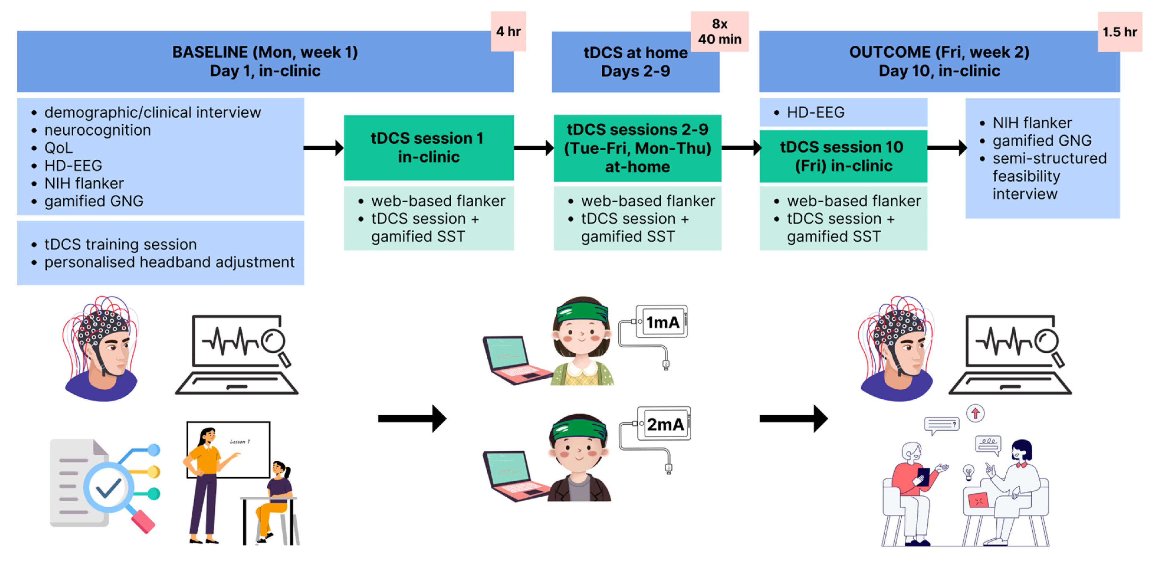 Brainsci 15 00561 g001