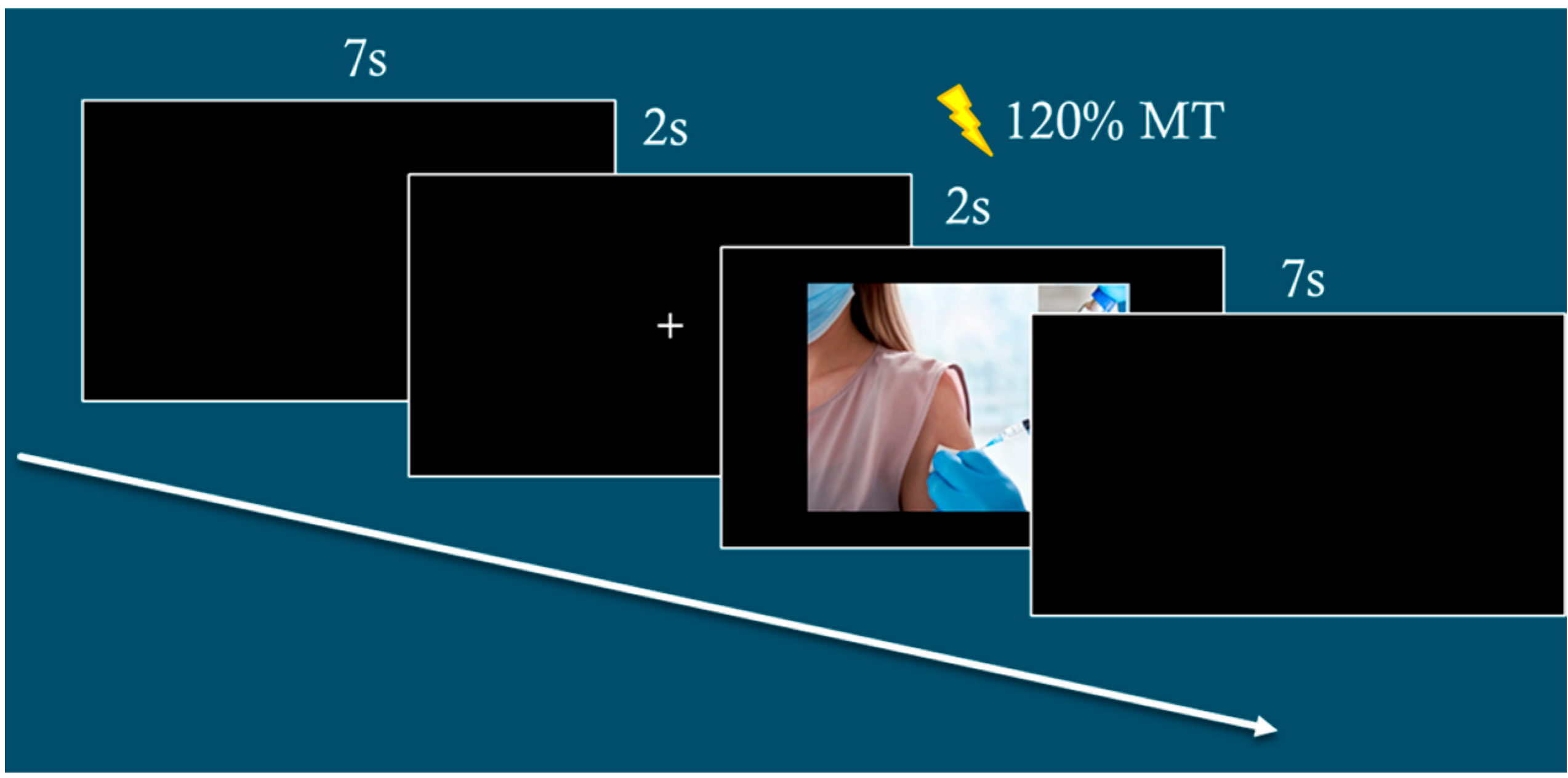 Brainsci 15 00563 g001