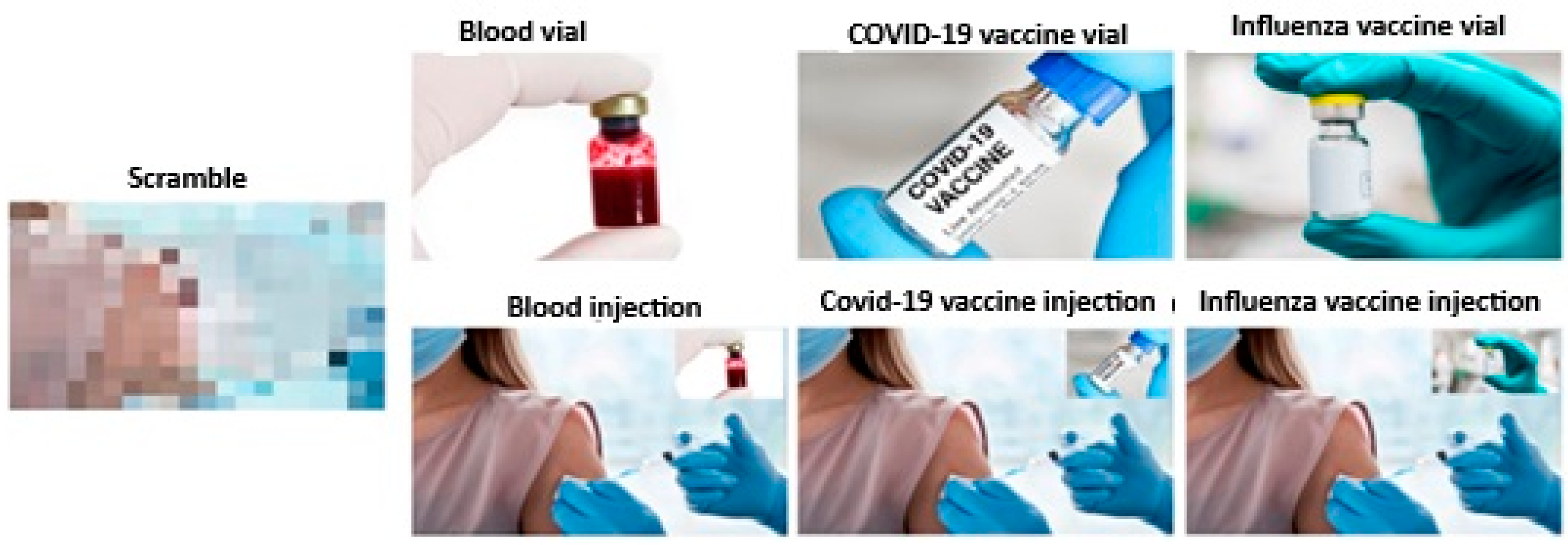 Brainsci 15 00563 g002