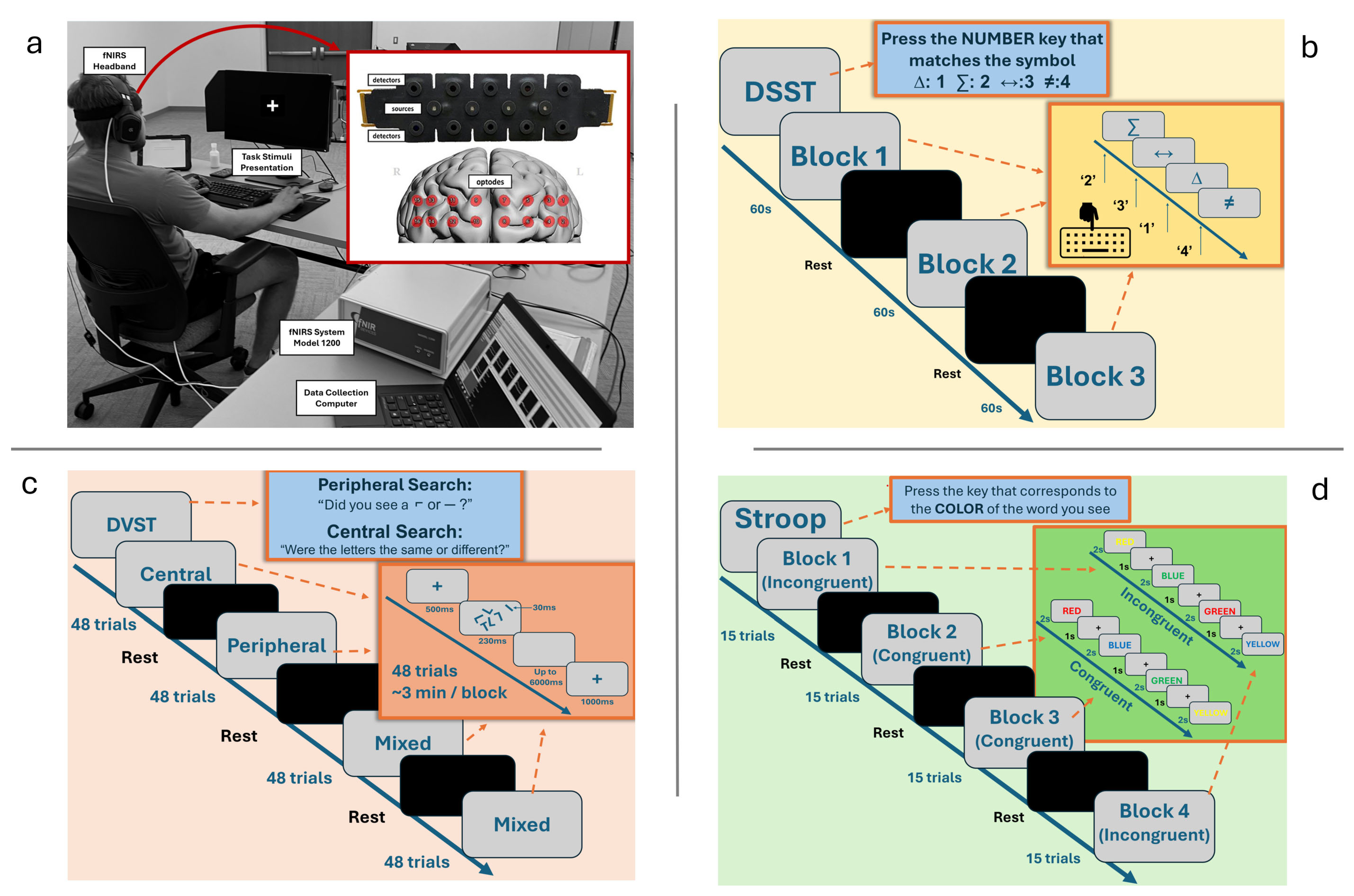 Brainsci 15 00568 g001