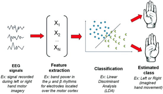 Brainsci 15 00571 g003