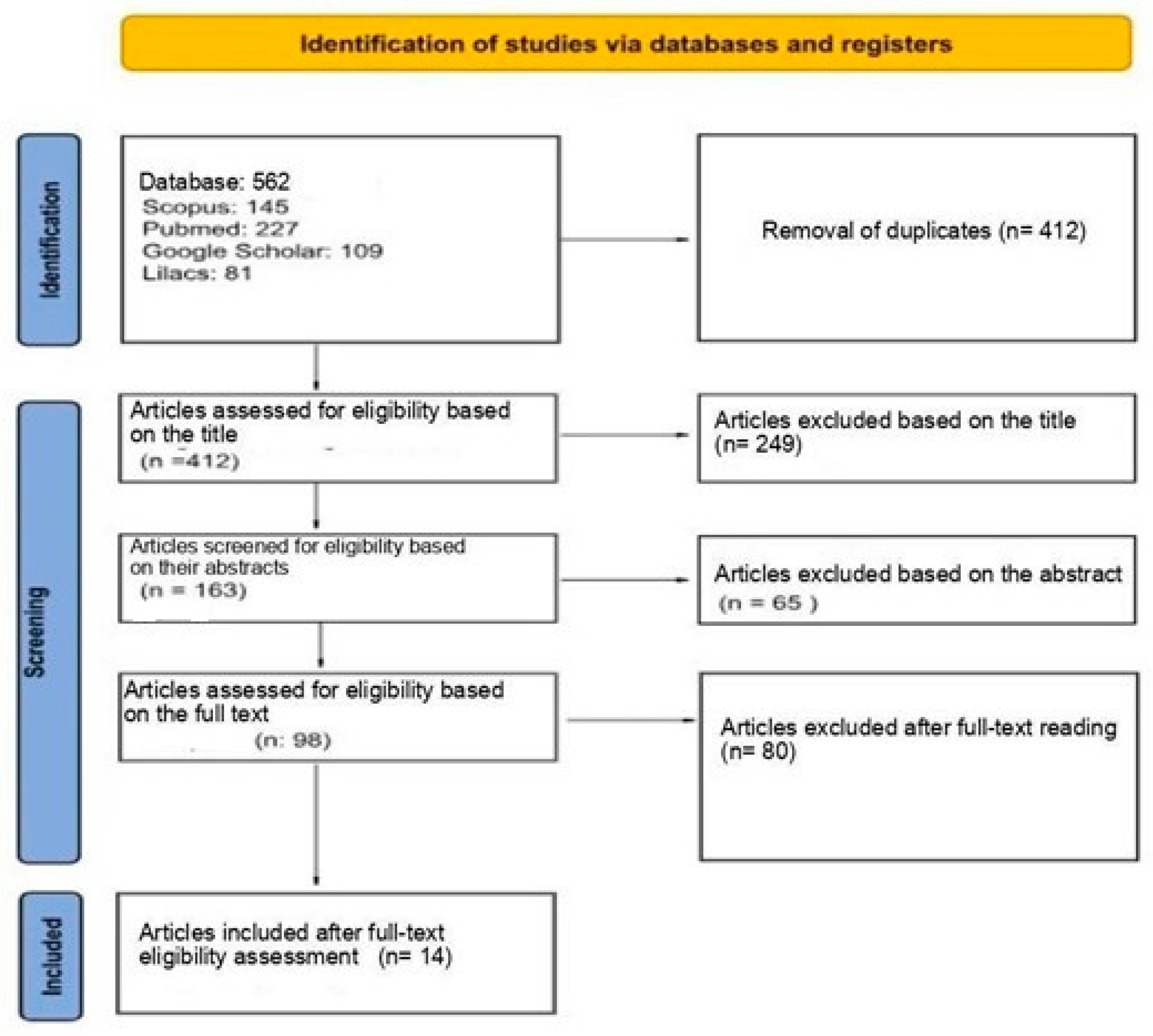 Brainsci 15 00602 g001