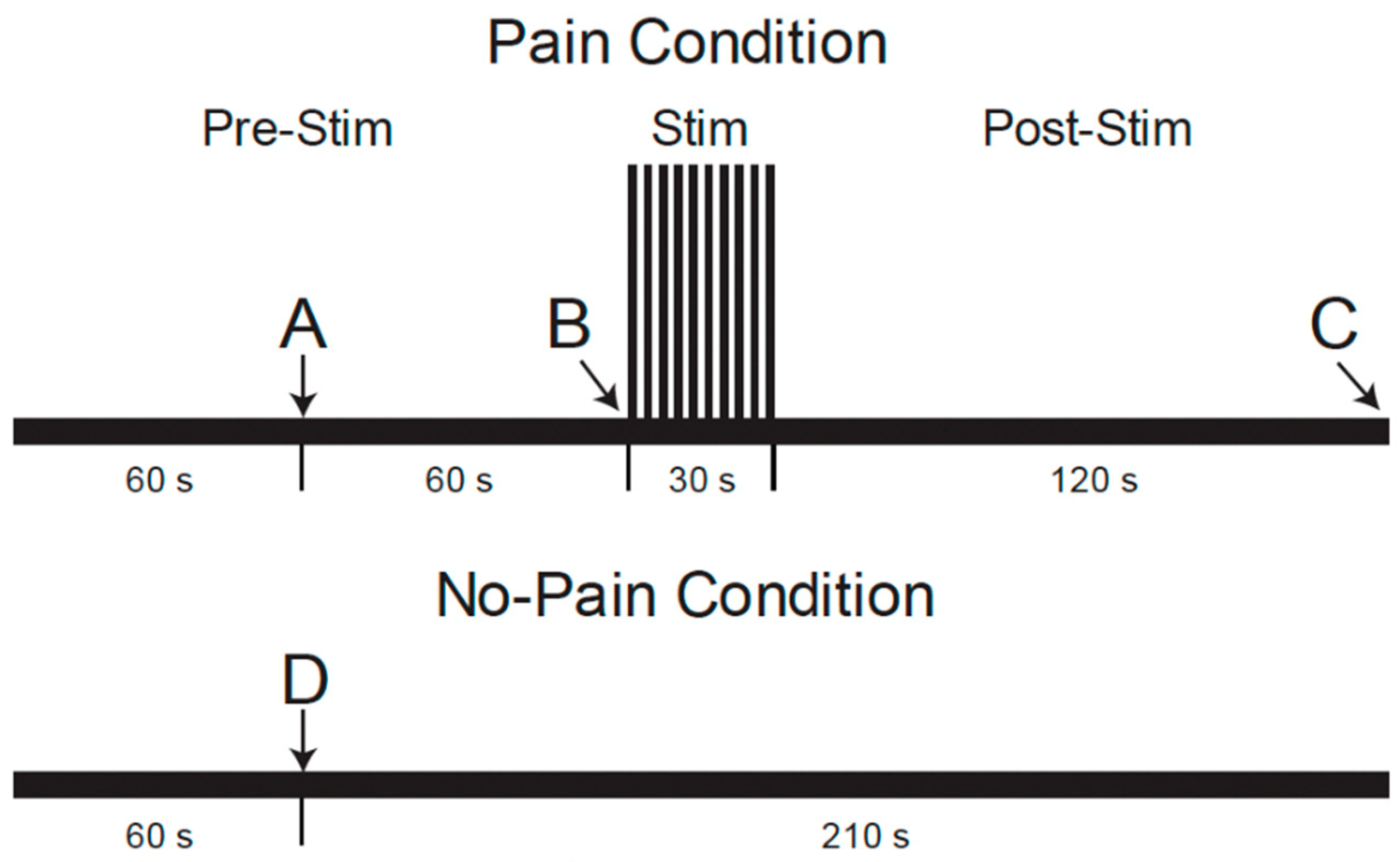 Brainsci 15 00603 g002