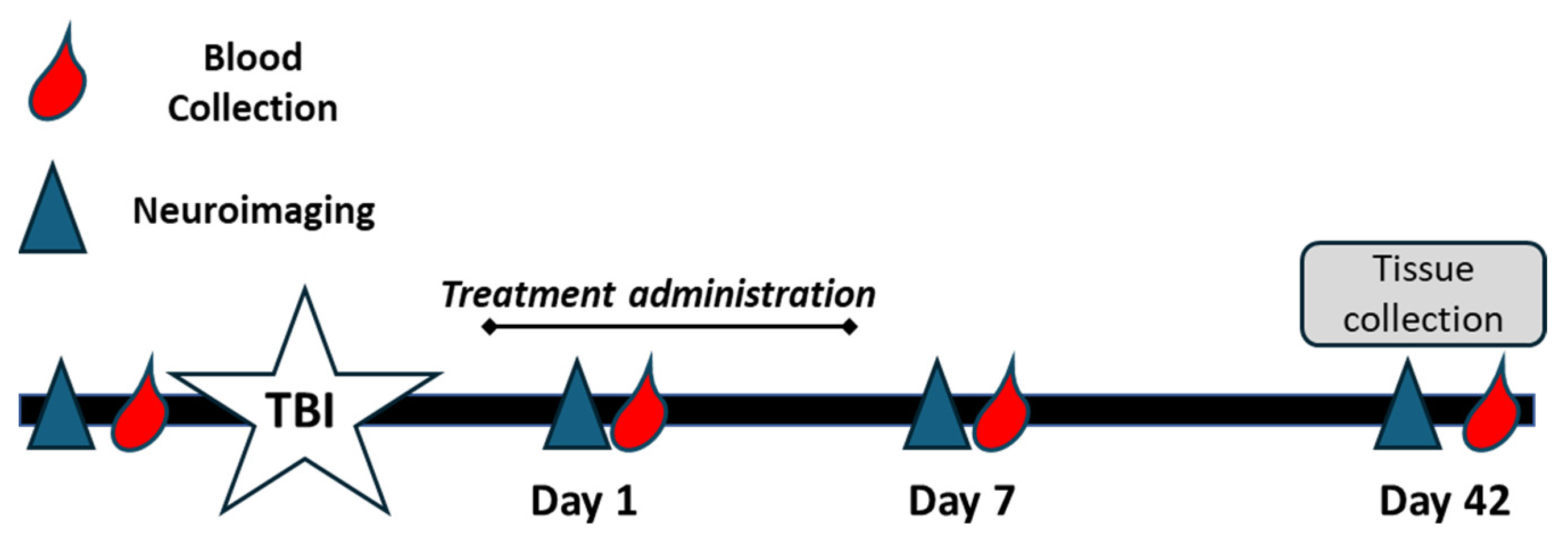 Brainsci 15 00608 g001