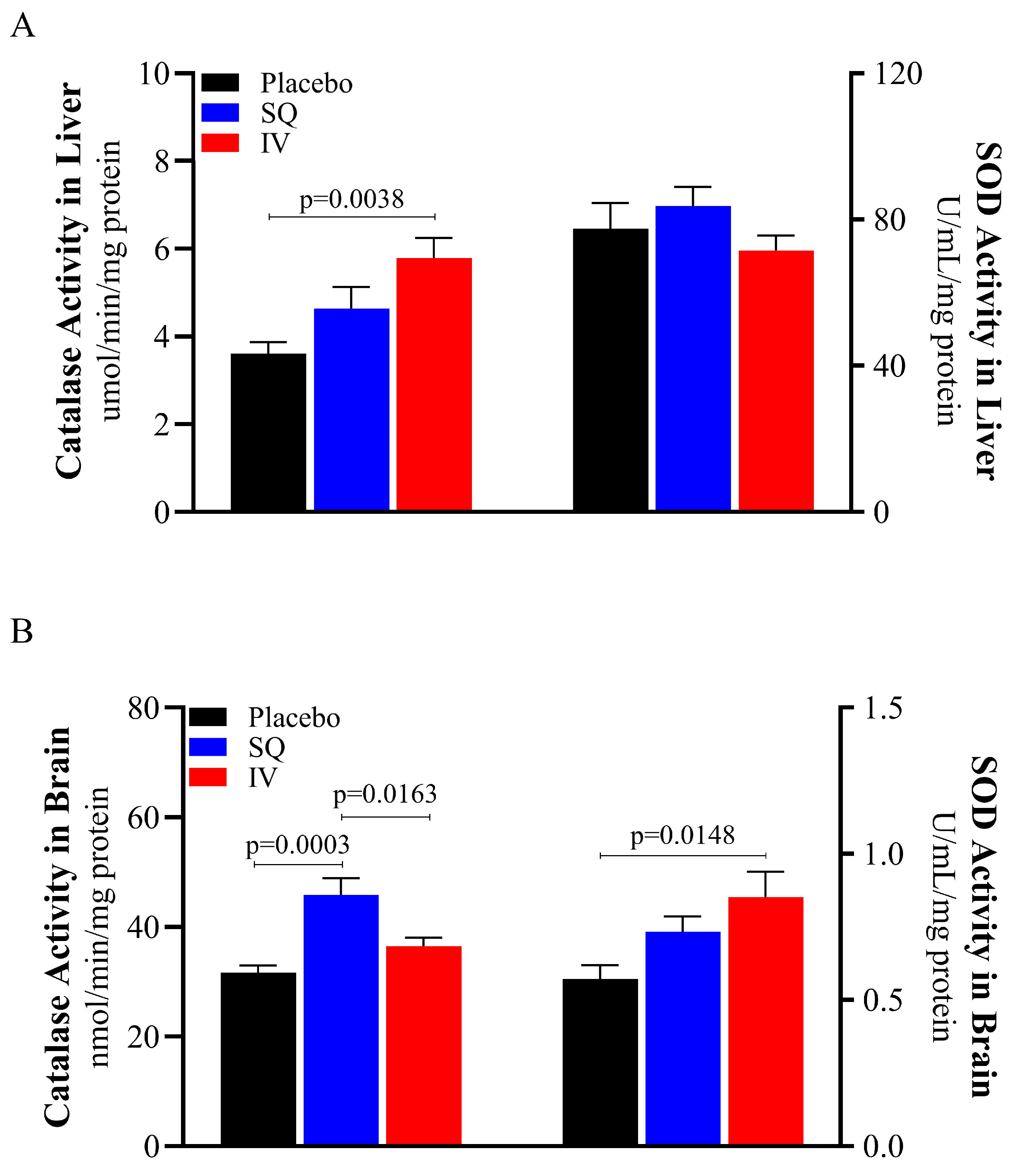 Brainsci 15 00608 g003