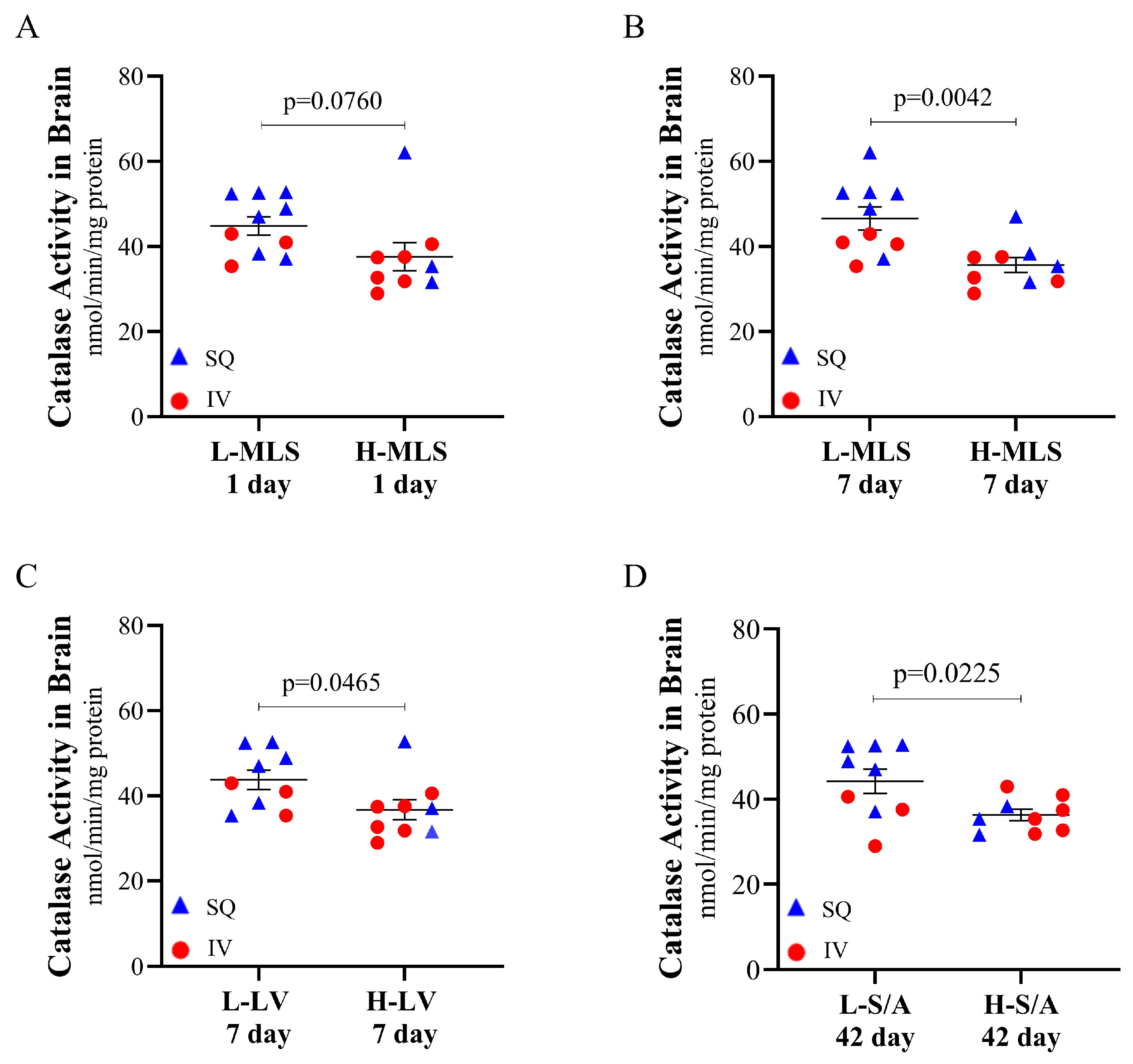 Brainsci 15 00608 g004