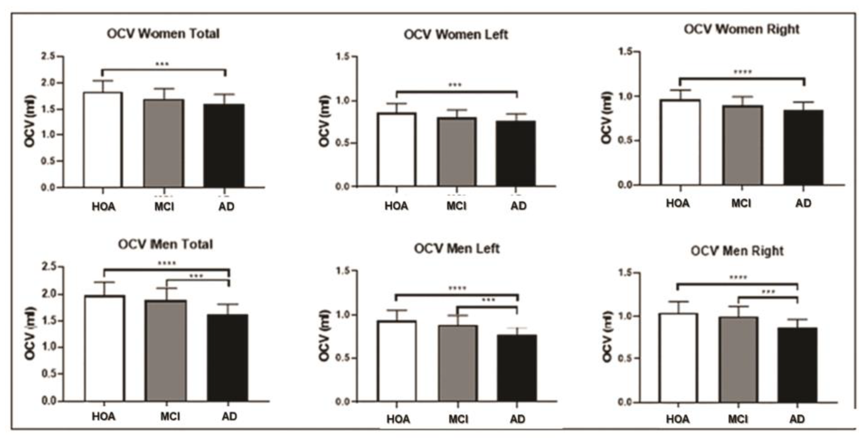 Brainsci 15 00610 g002