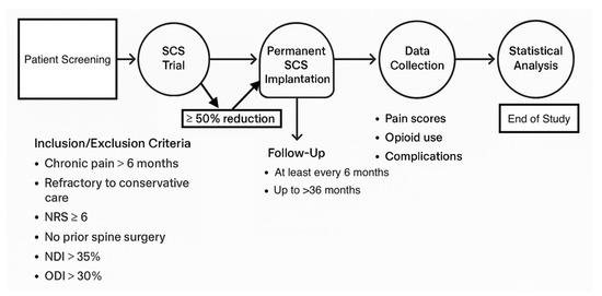 Brainsci 15 00616 g002
