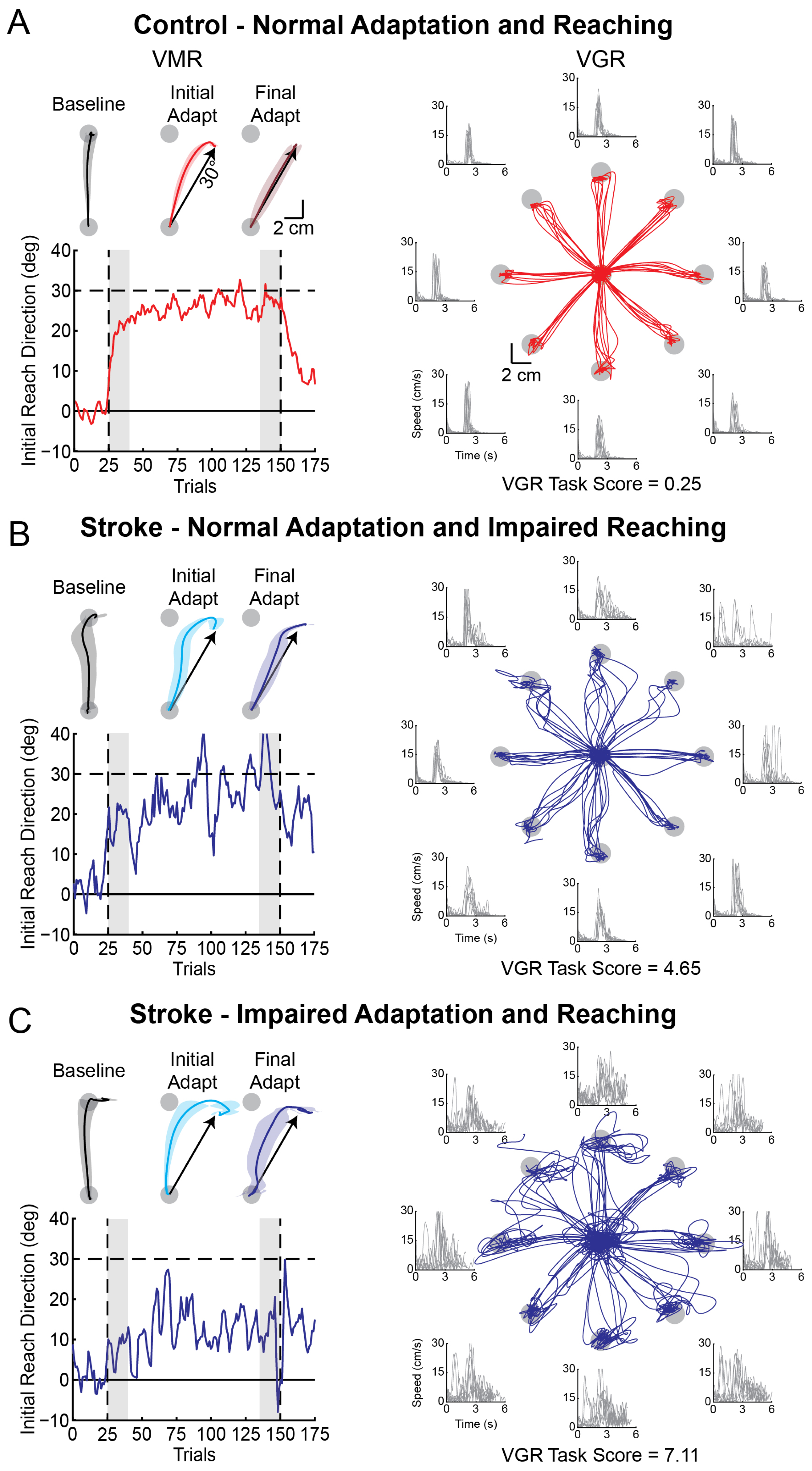 Brainsci 15 00619 g002