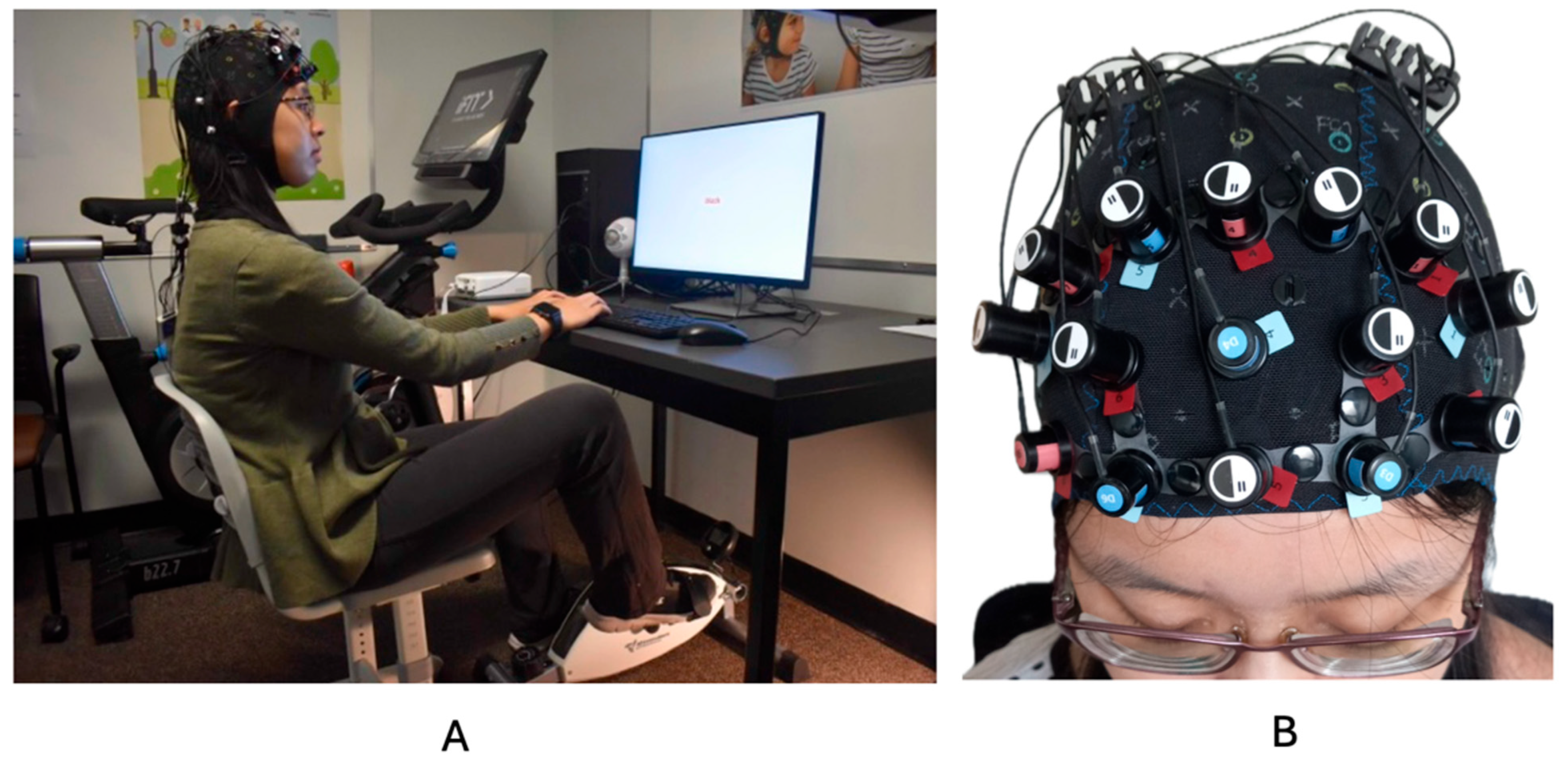 Brainsci 15 00623 g002