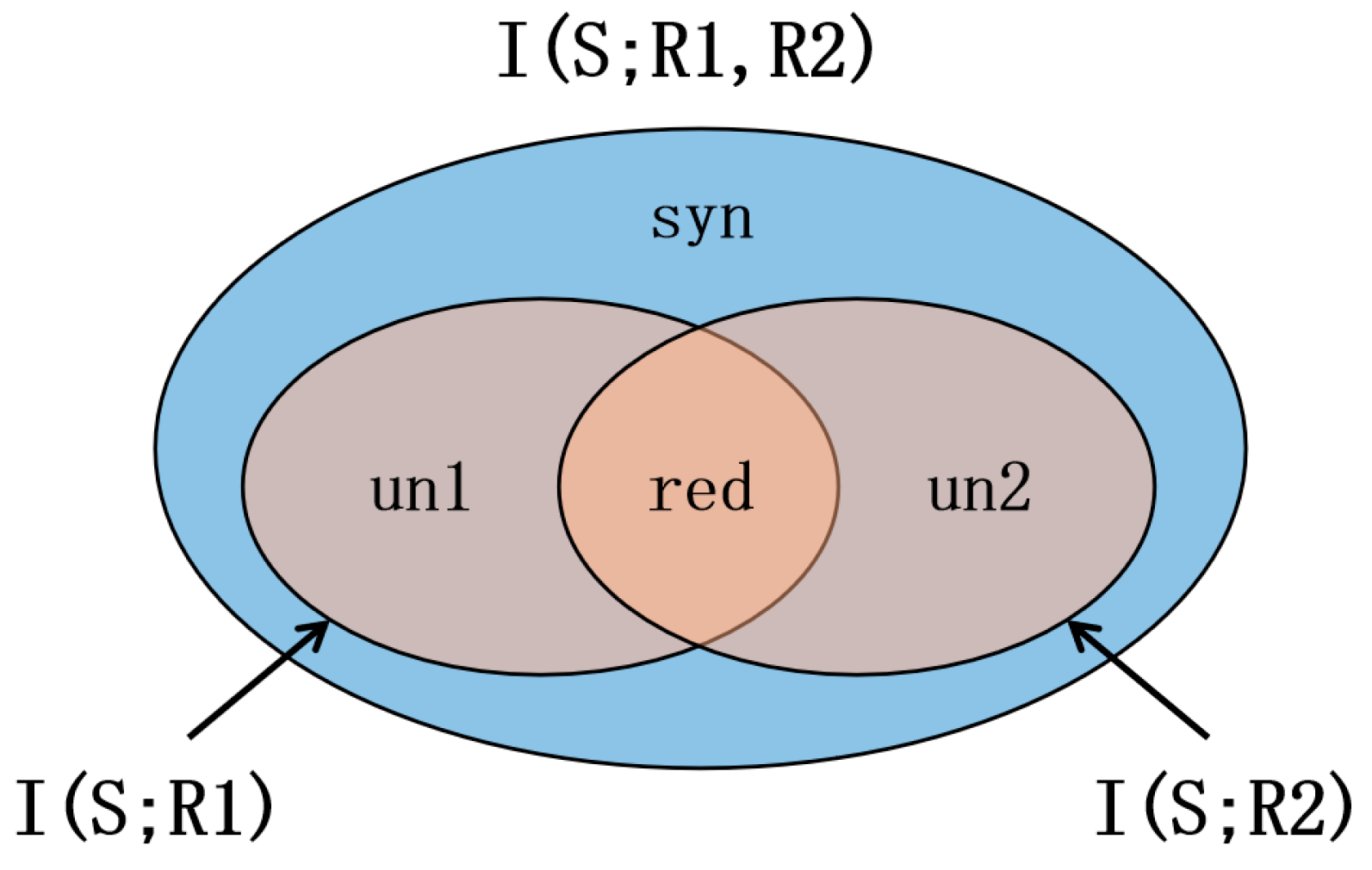 Brainsci 15 00636 g001