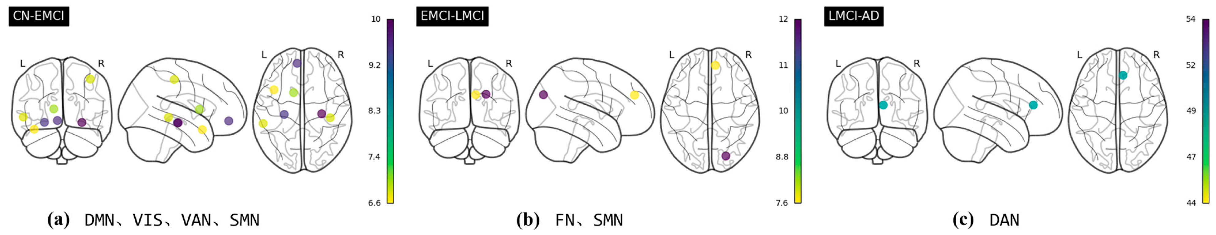 Brainsci 15 00636 g008