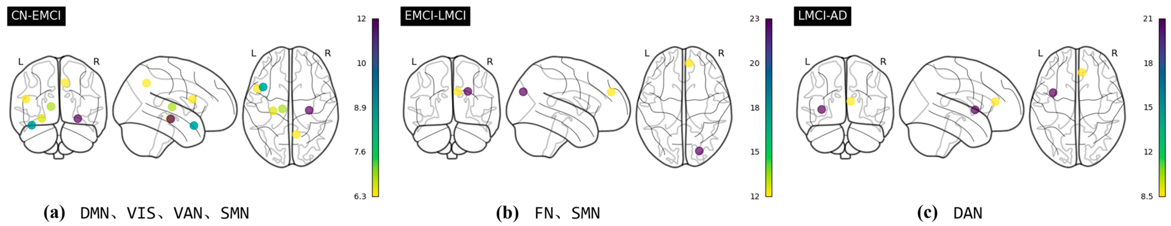 Brainsci 15 00636 g009