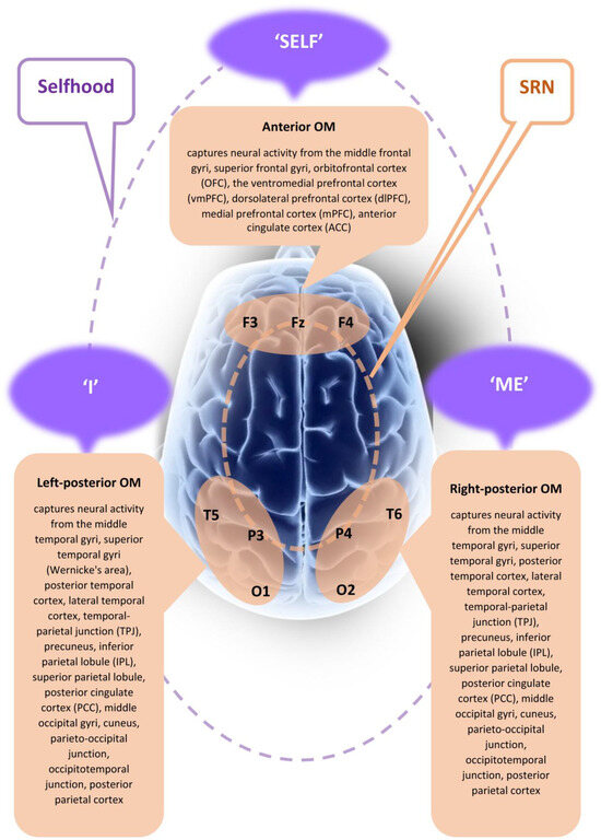Brainsci 15 00640 g001