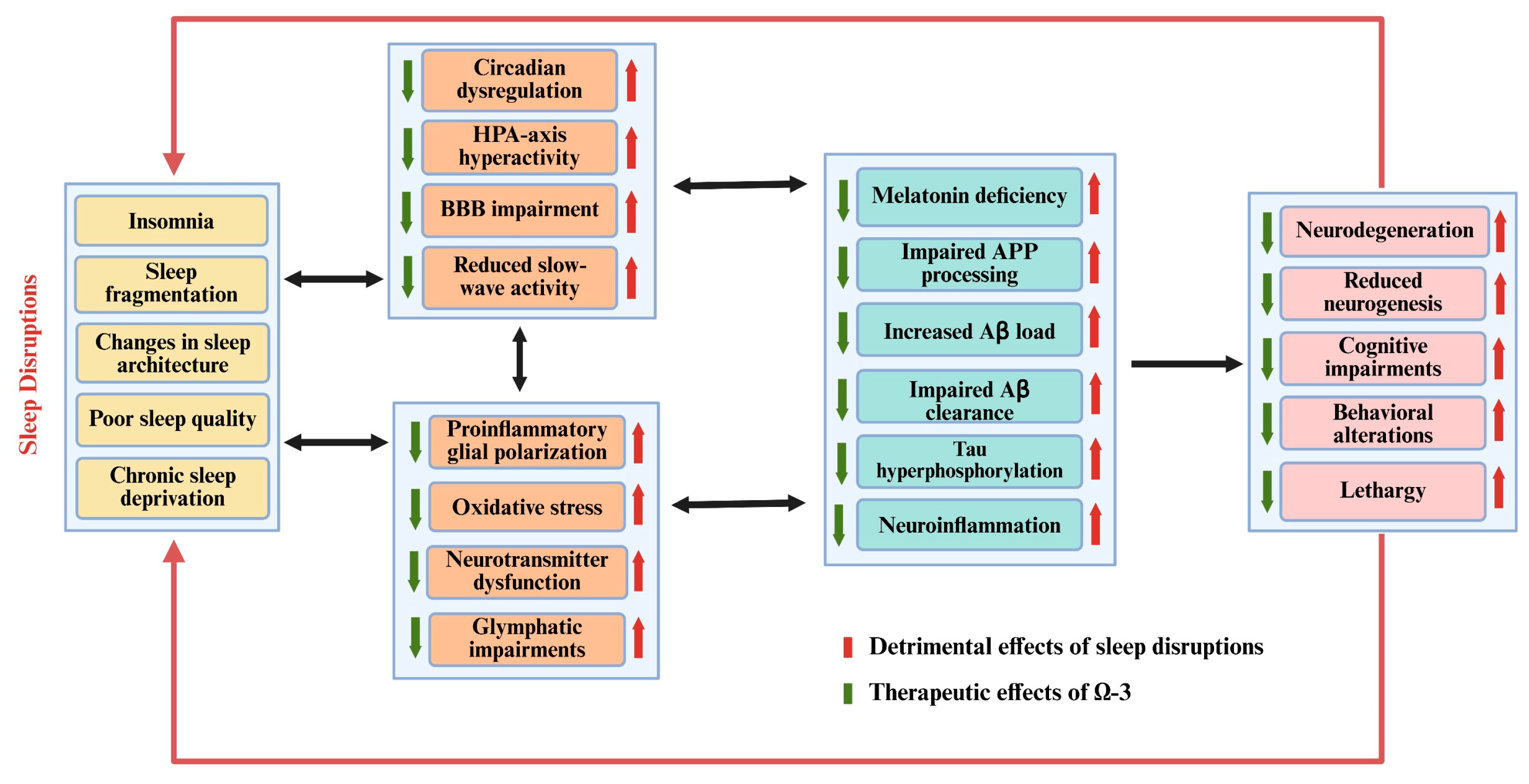 Brainsci 15 00641 g001