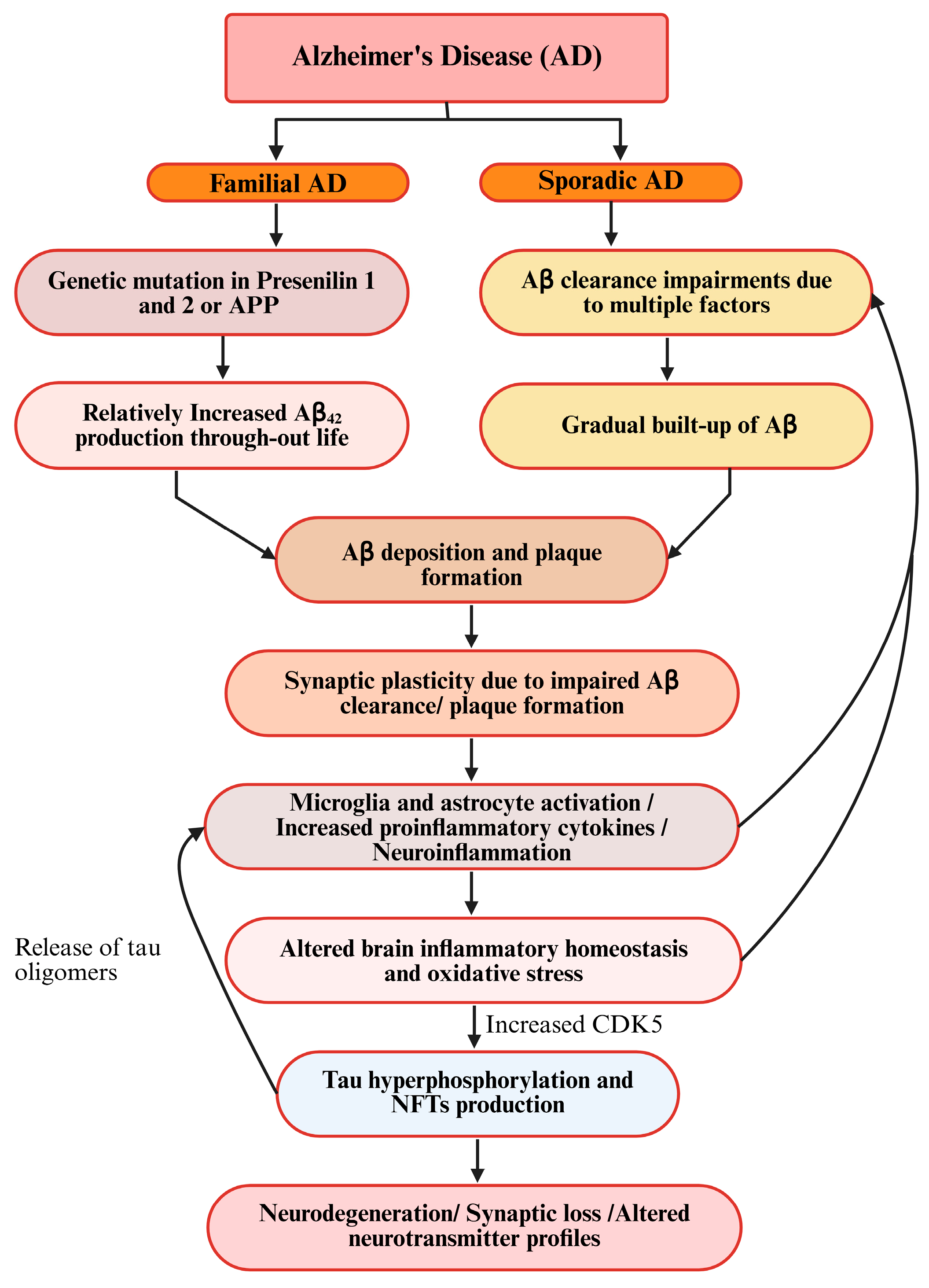 Brainsci 15 00641 g004