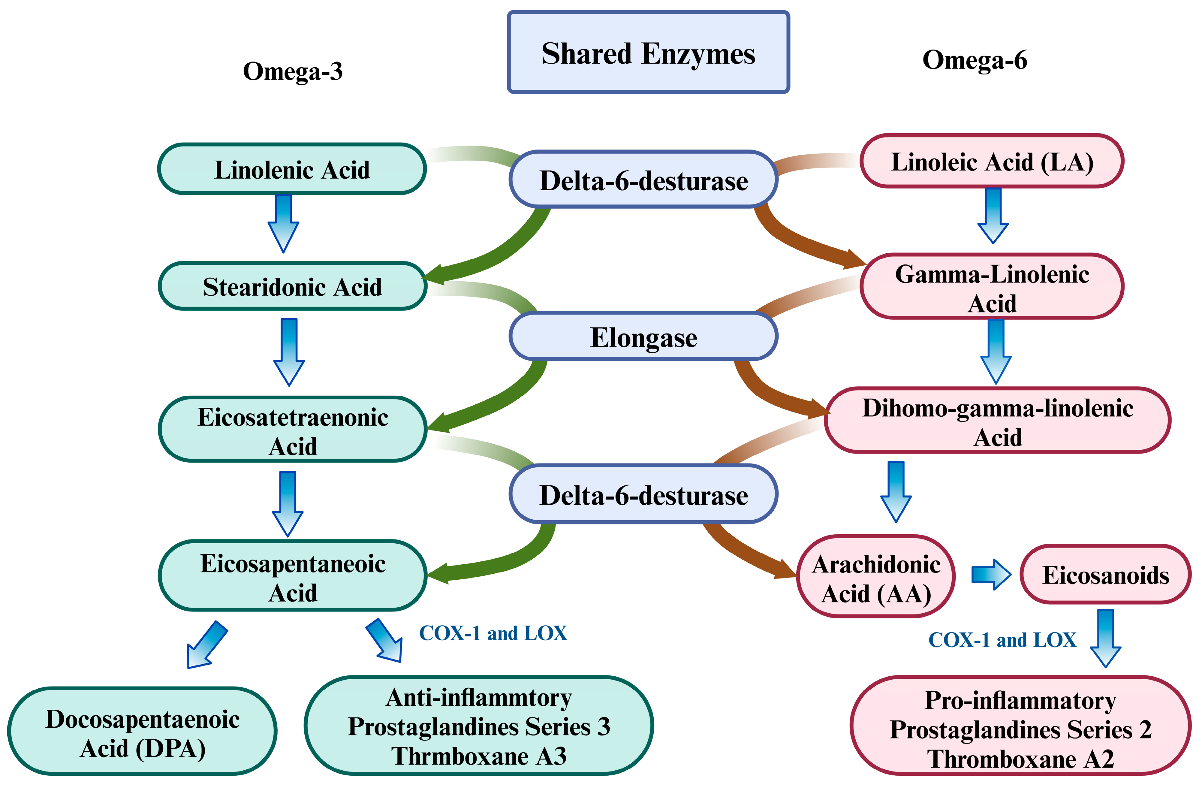 Brainsci 15 00641 g005
