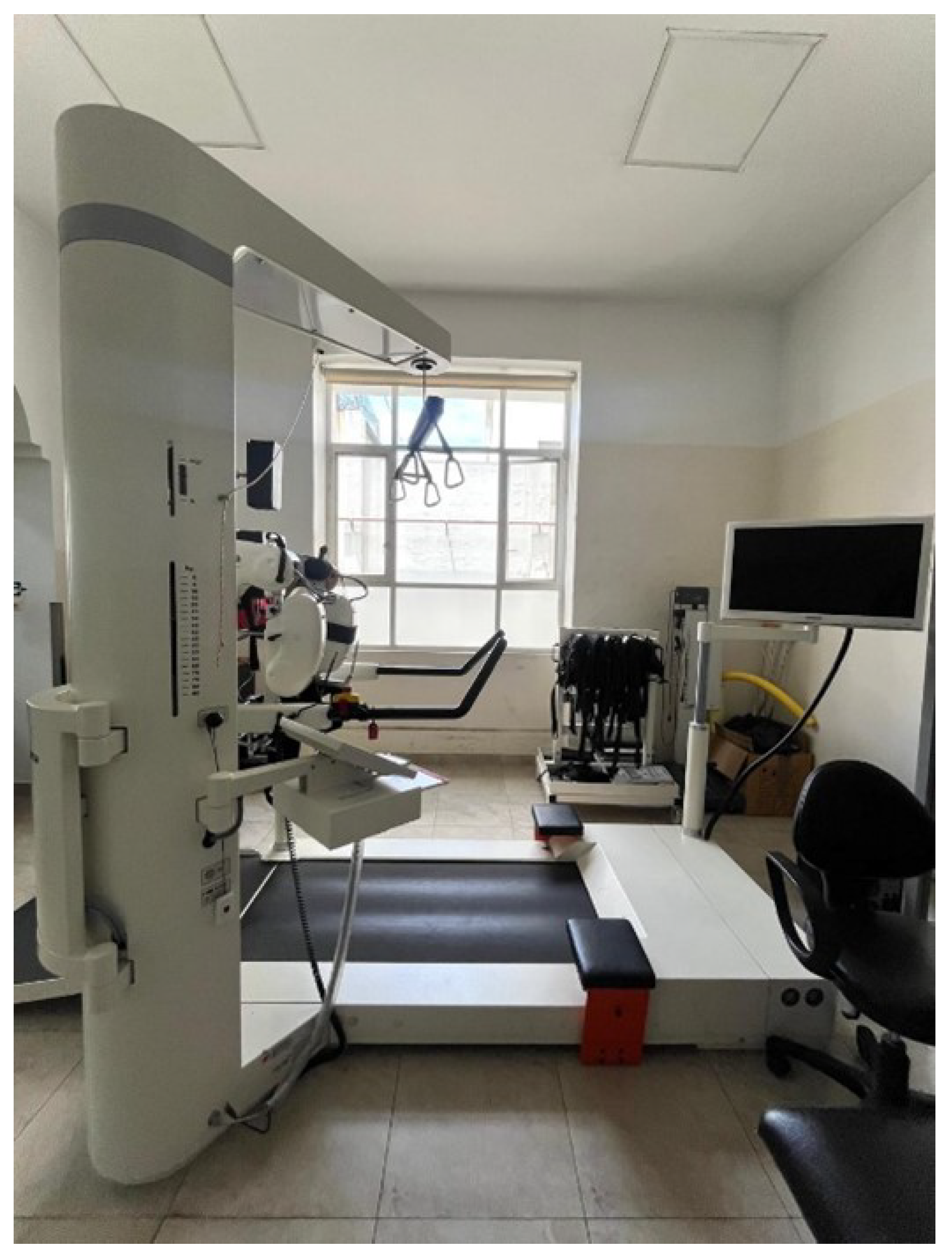 Brainsci 15 00650 g002