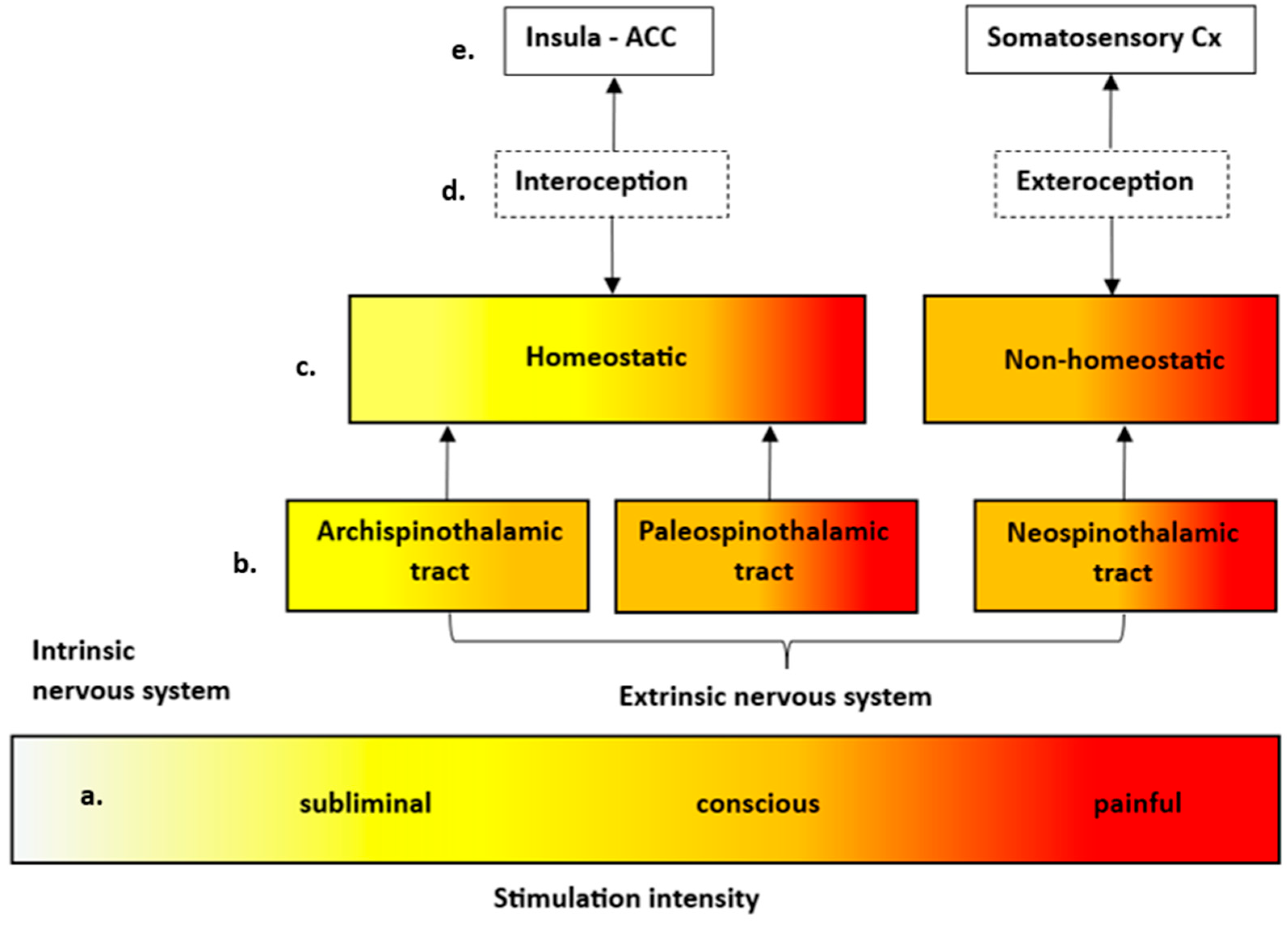 Brainsci 15 00651 g003