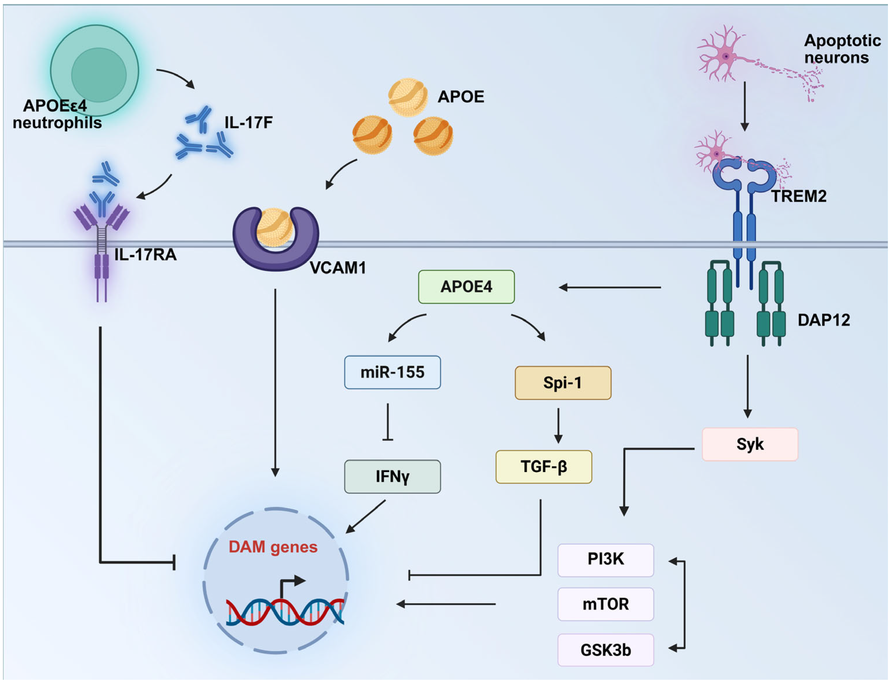 Brainsci 15 00675 g001