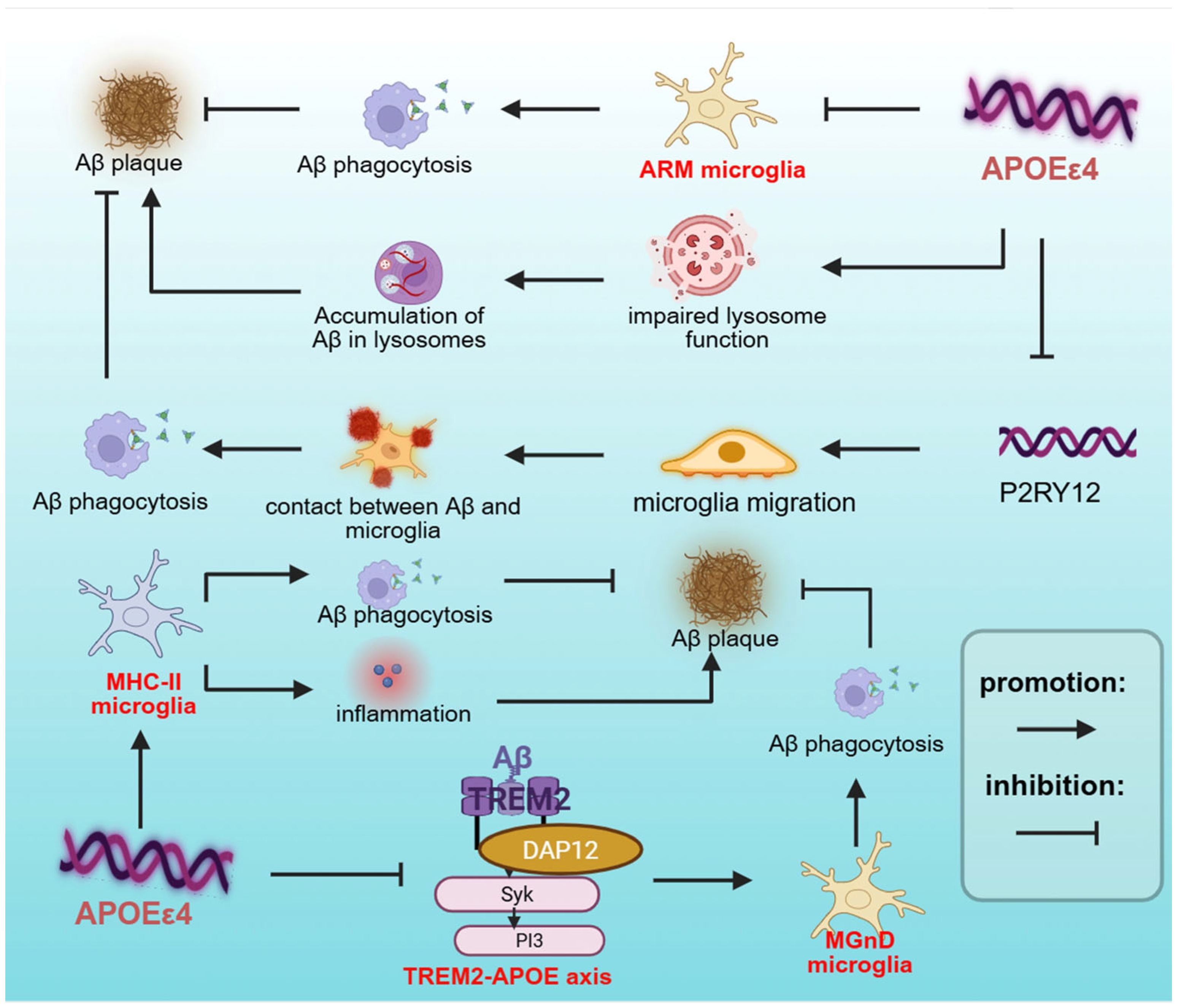 Brainsci 15 00675 g003