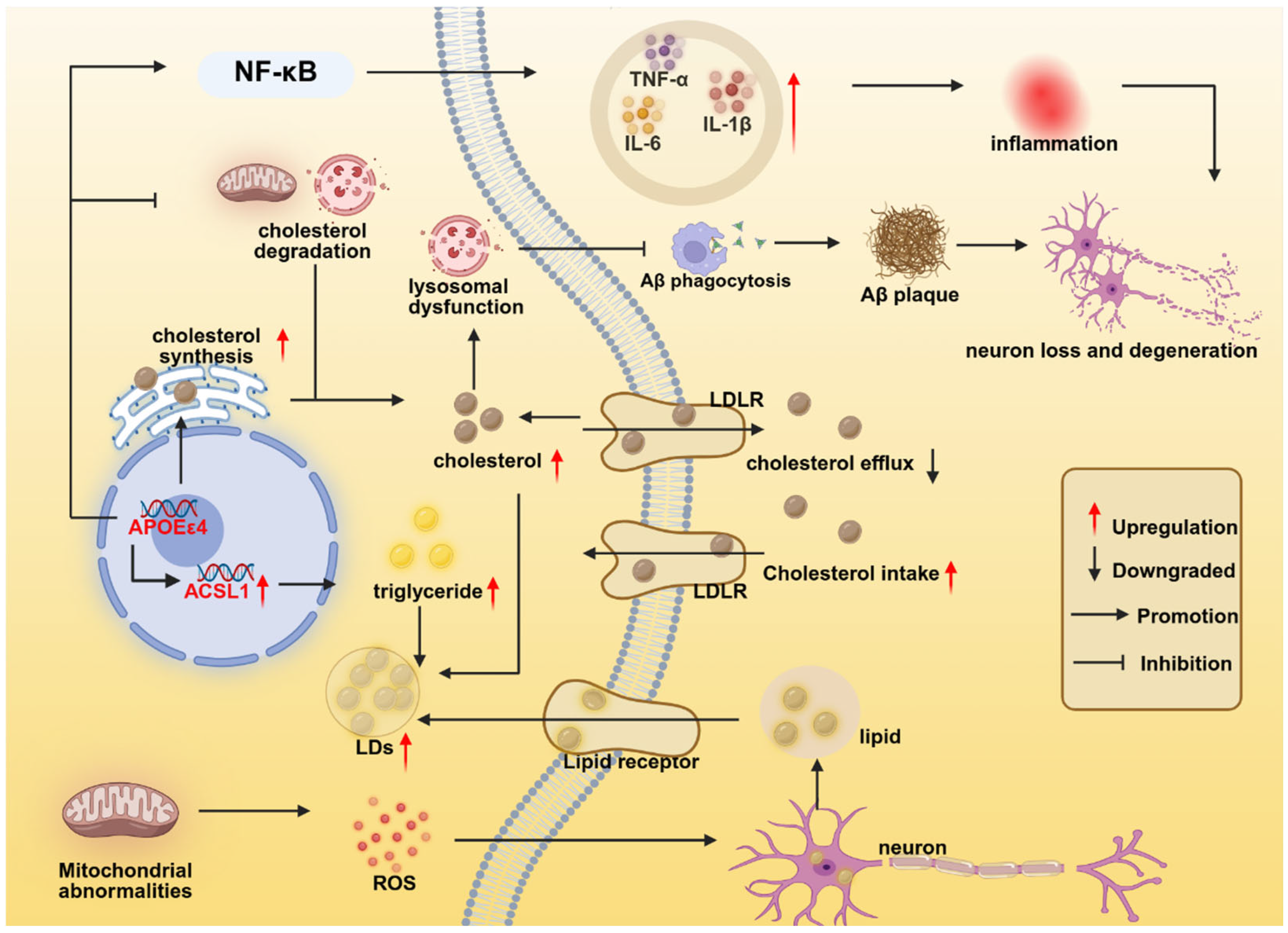 Brainsci 15 00675 g004