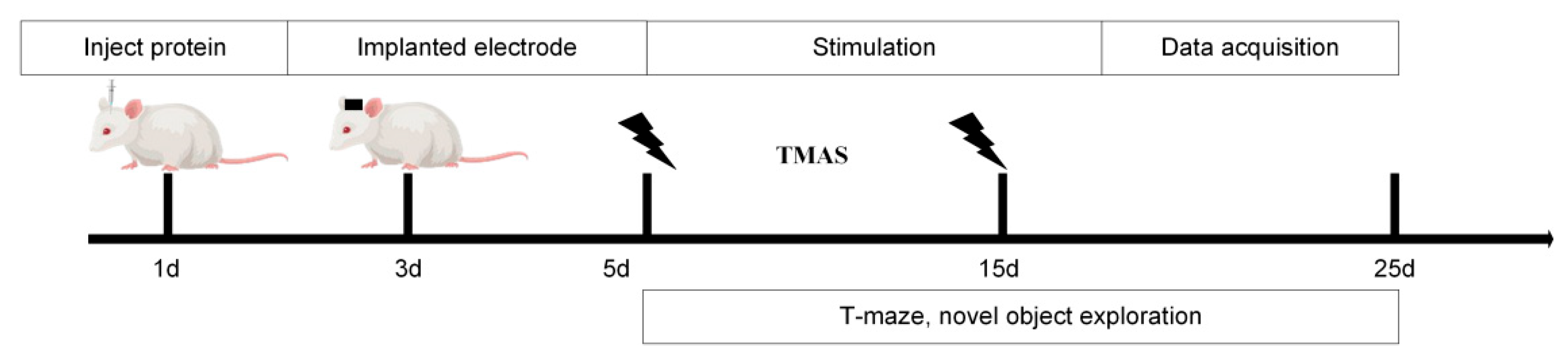 Brainsci 15 00701 g001