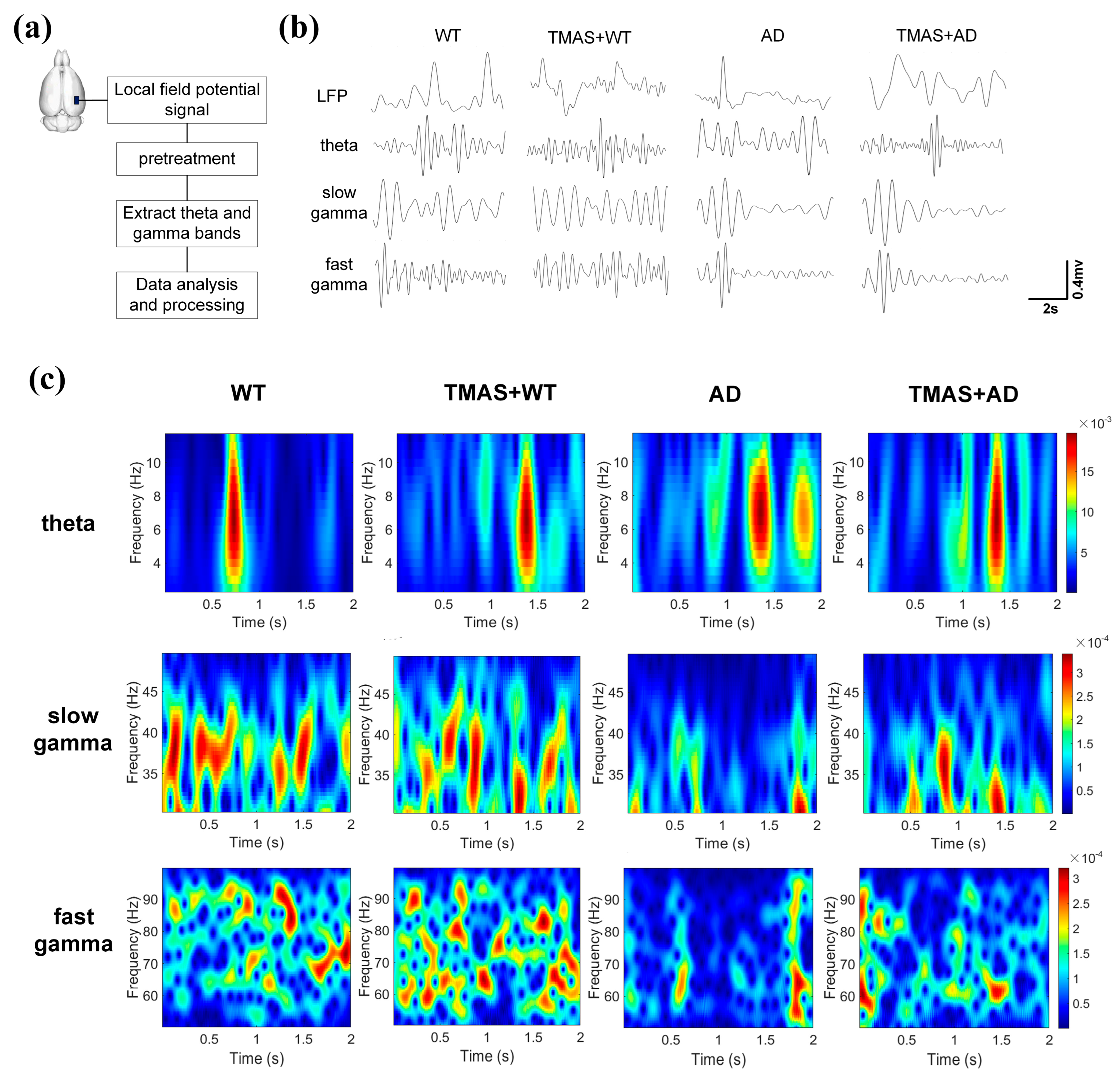 Brainsci 15 00701 g003